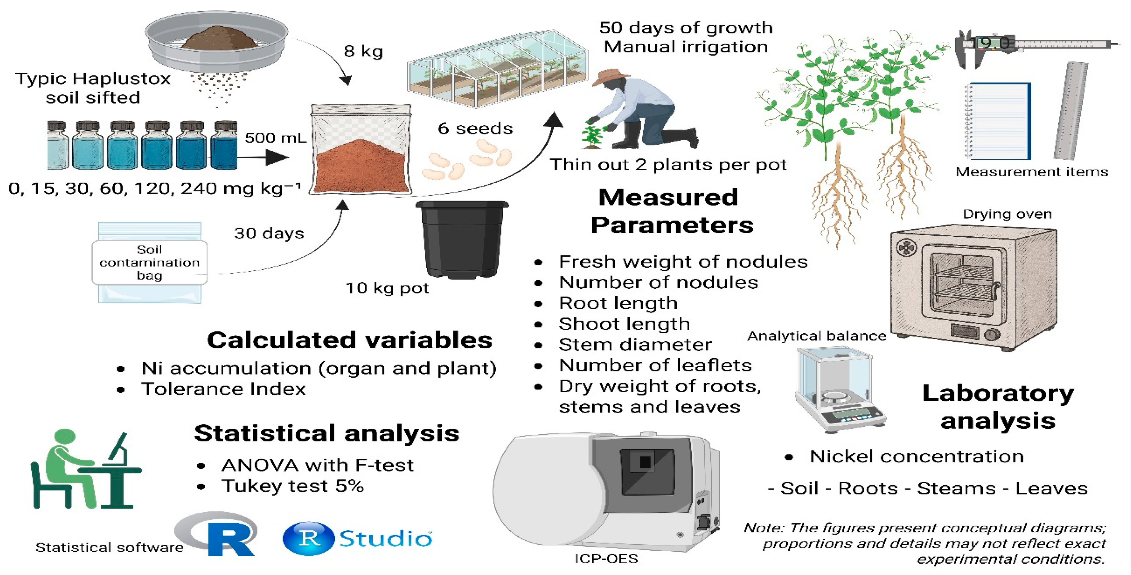 Agriculture 15 02200 g002