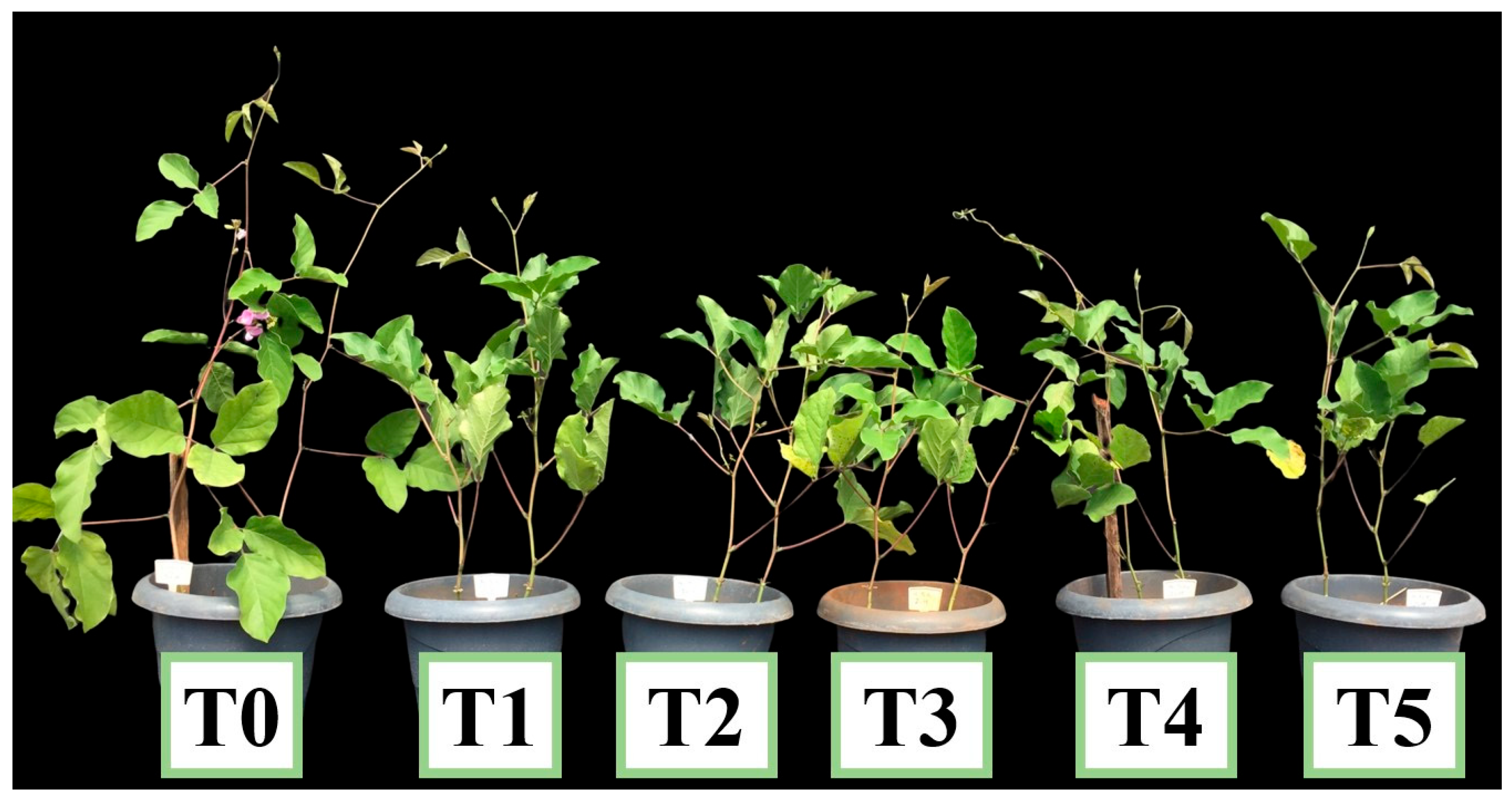 Agriculture 15 02200 g009