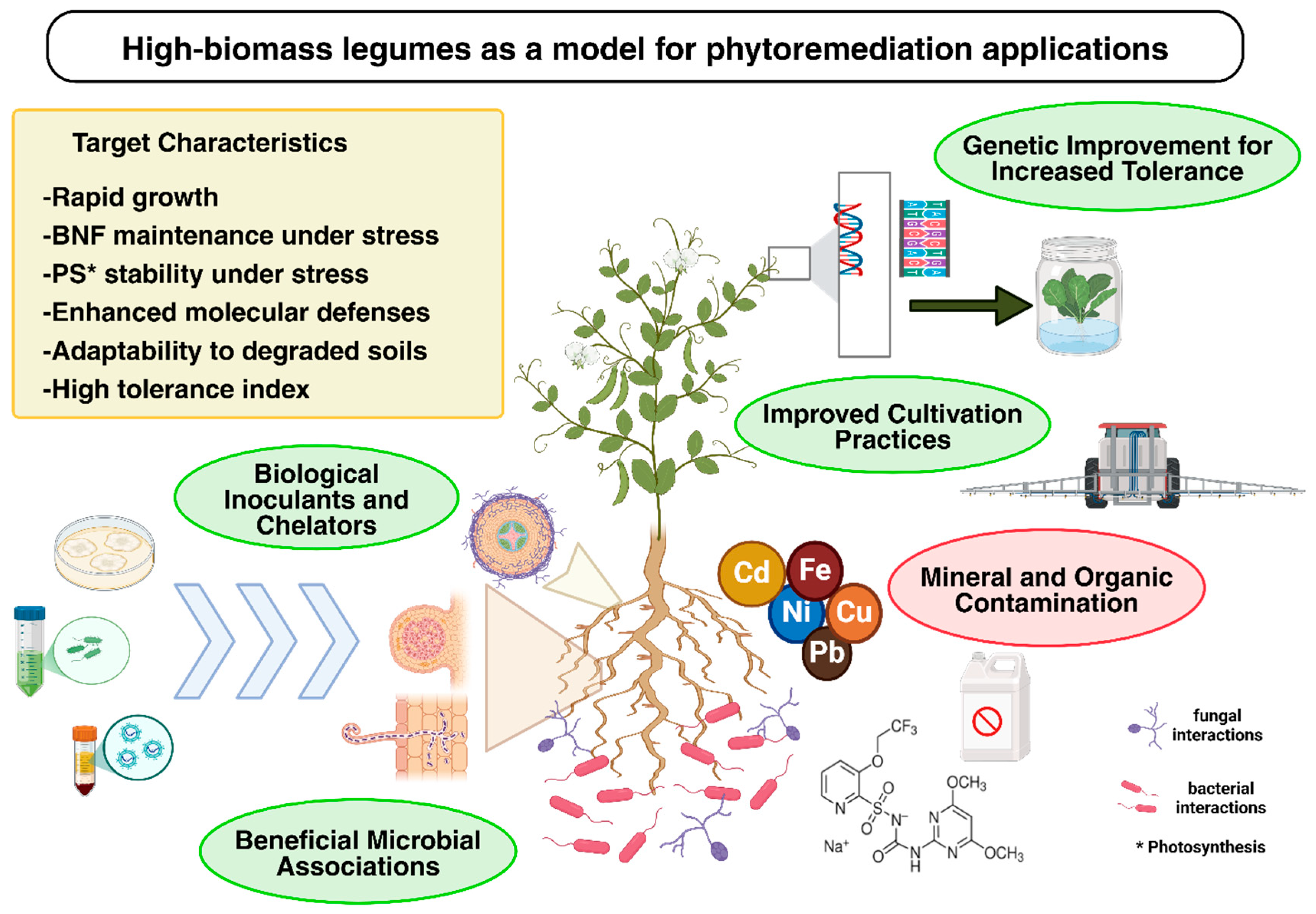 Agriculture 15 02200 g010