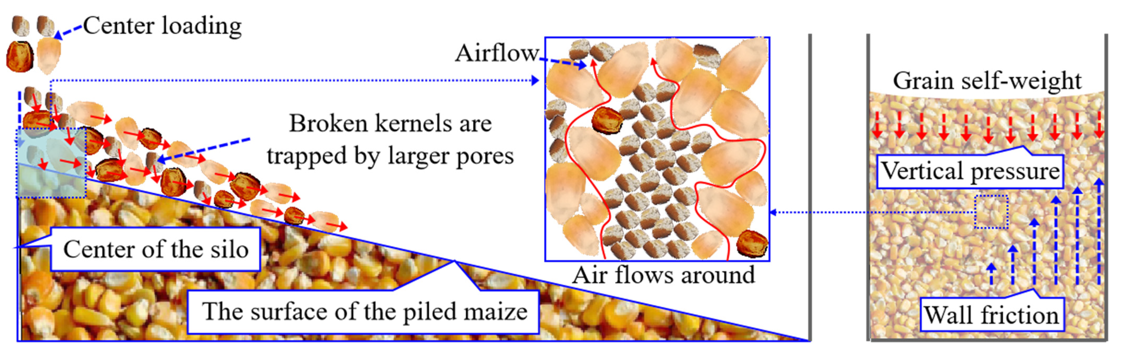 Agriculture 15 02205 g015 Agriculture 15 02205 g015