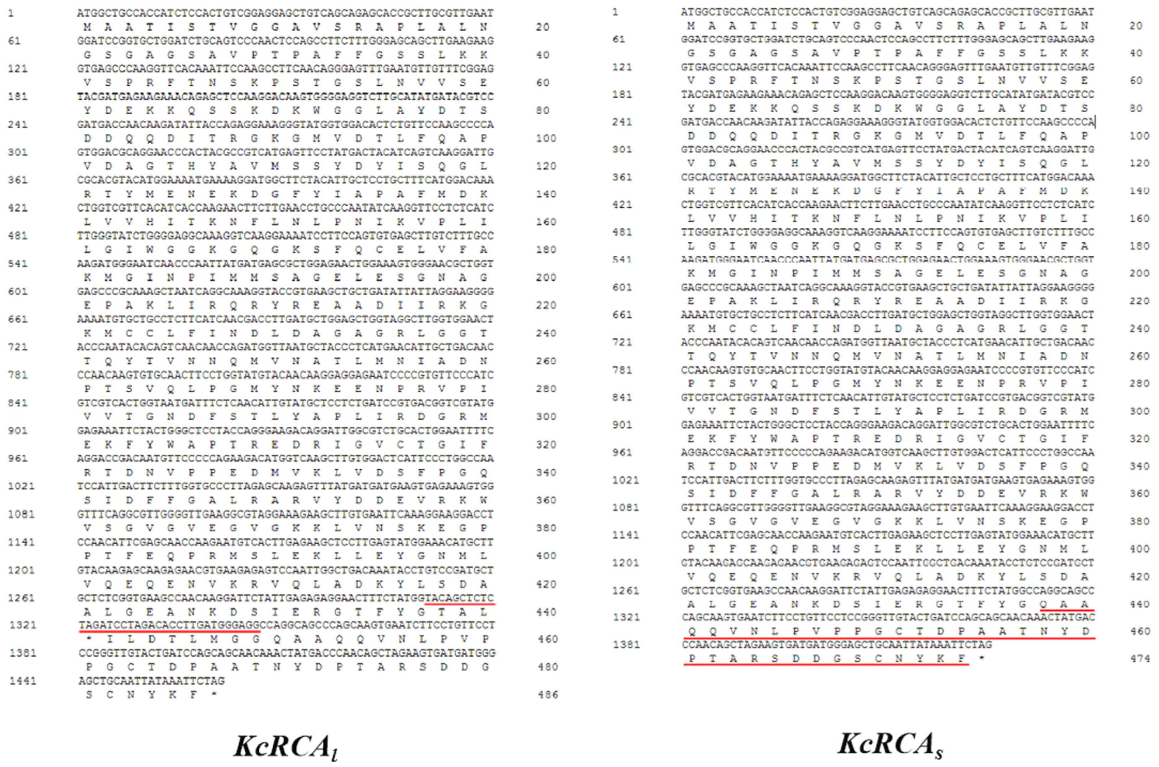 Agriculture 15 02209 g001