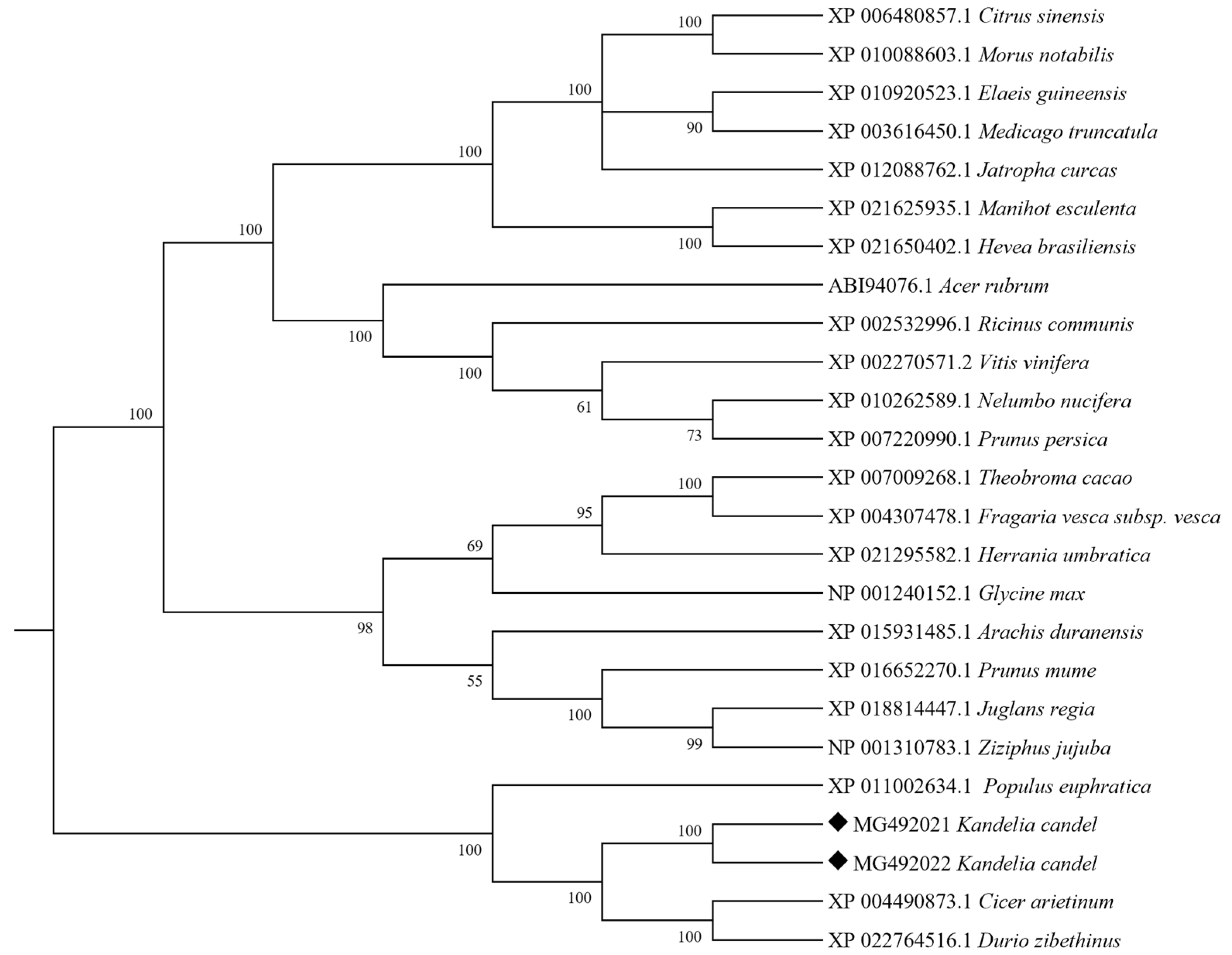 Agriculture 15 02209 g002
