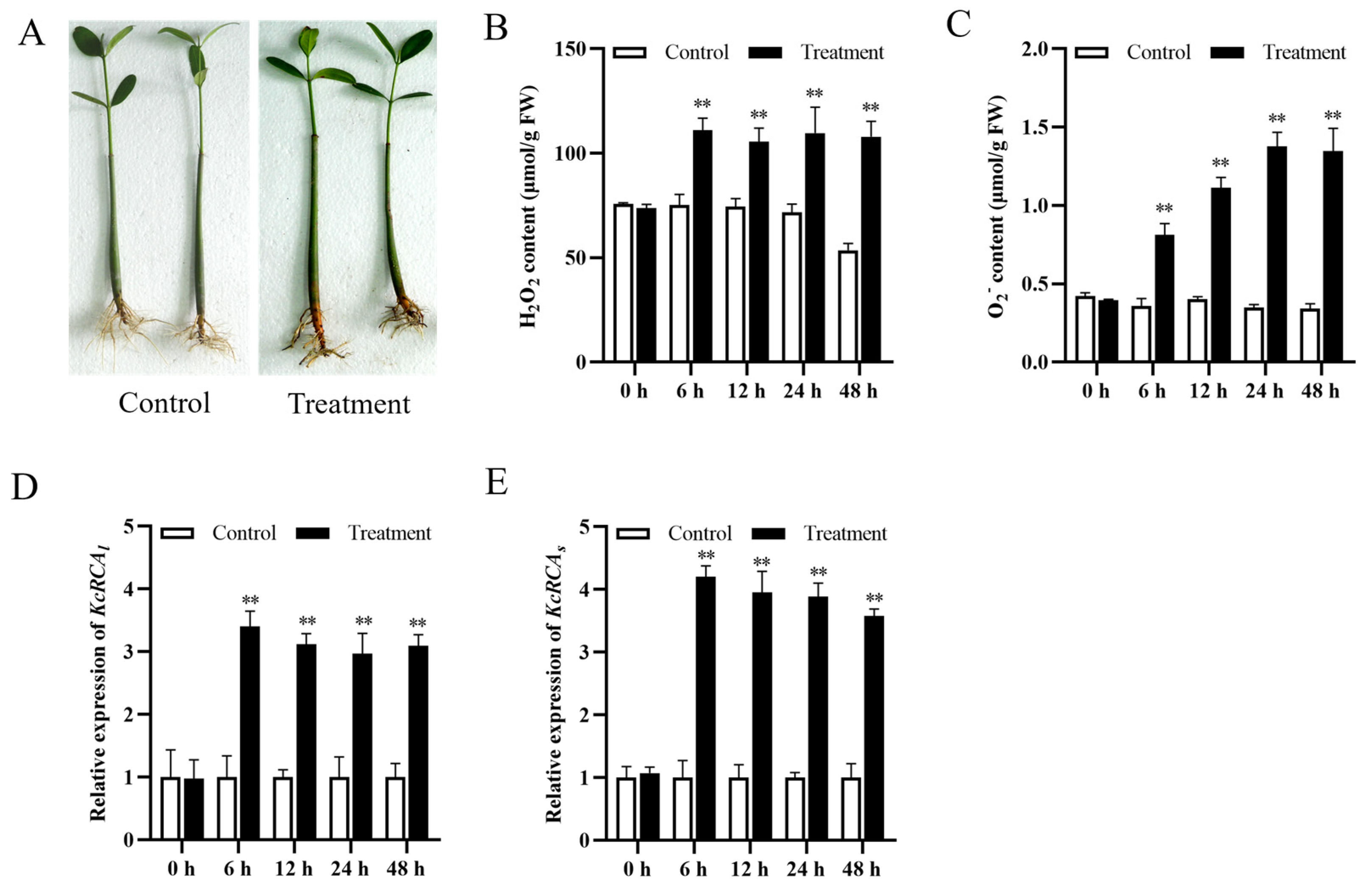 Agriculture 15 02209 g003