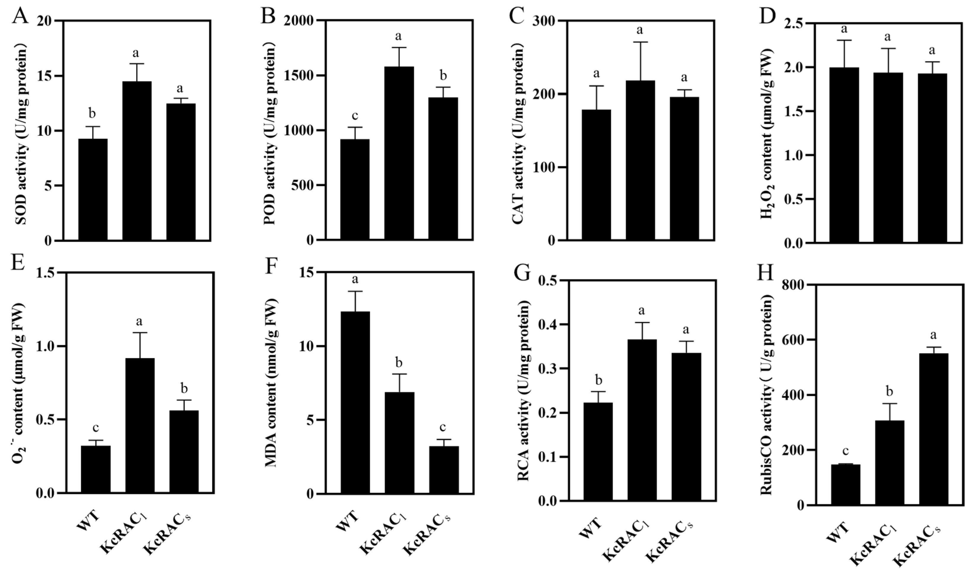 Agriculture 15 02209 g007