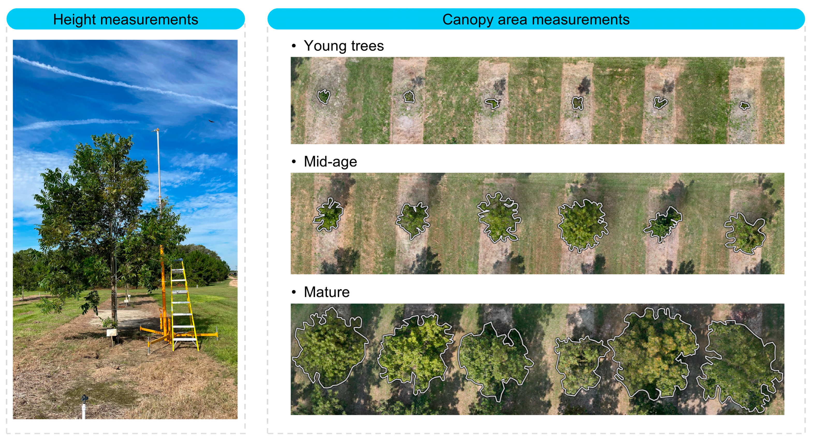 Agriculture 15 02213 g002