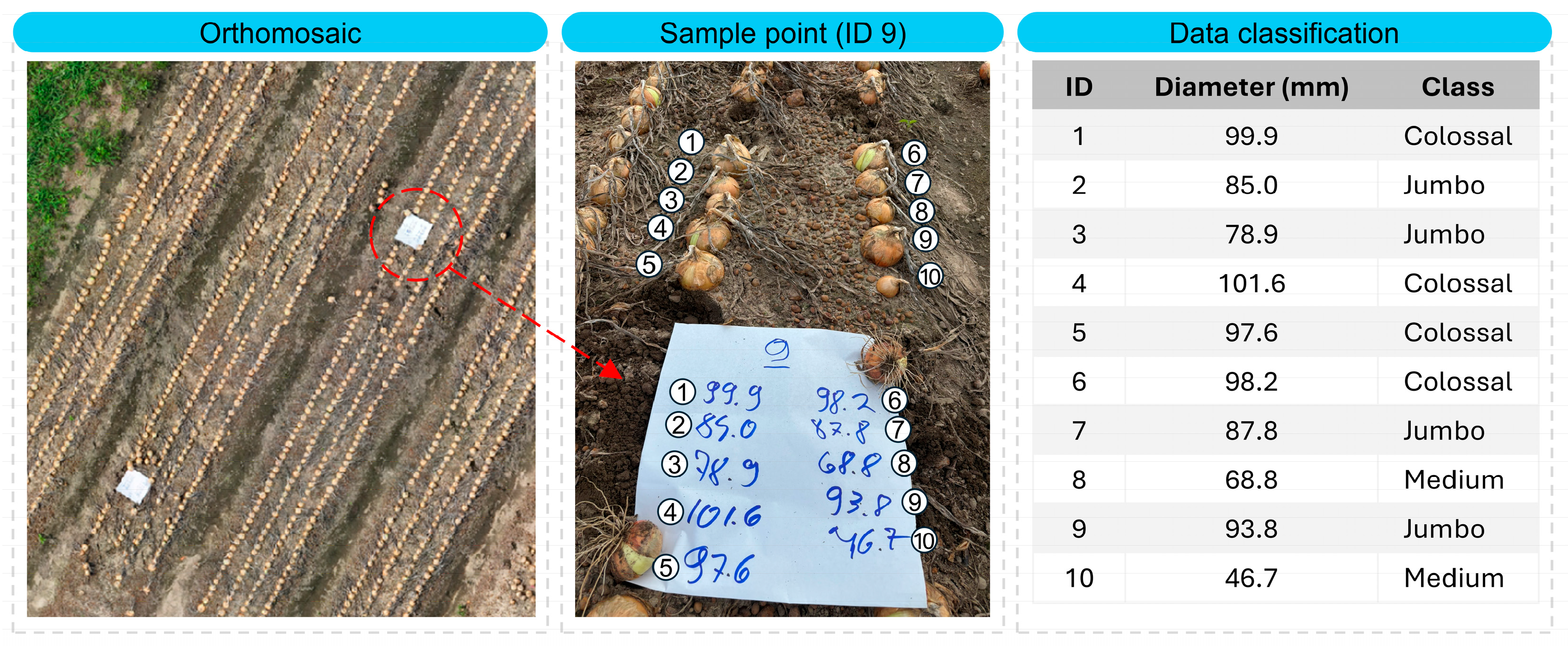 Agriculture 15 02213 g003