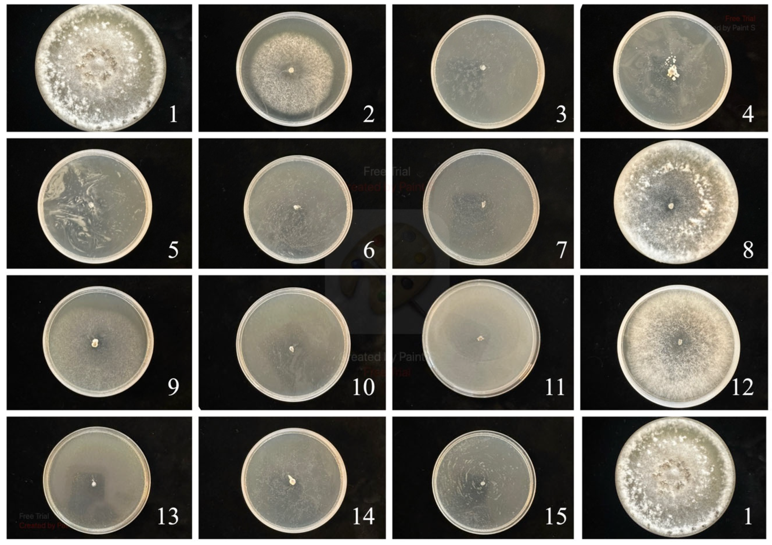 Agriculture 15 02214 g001