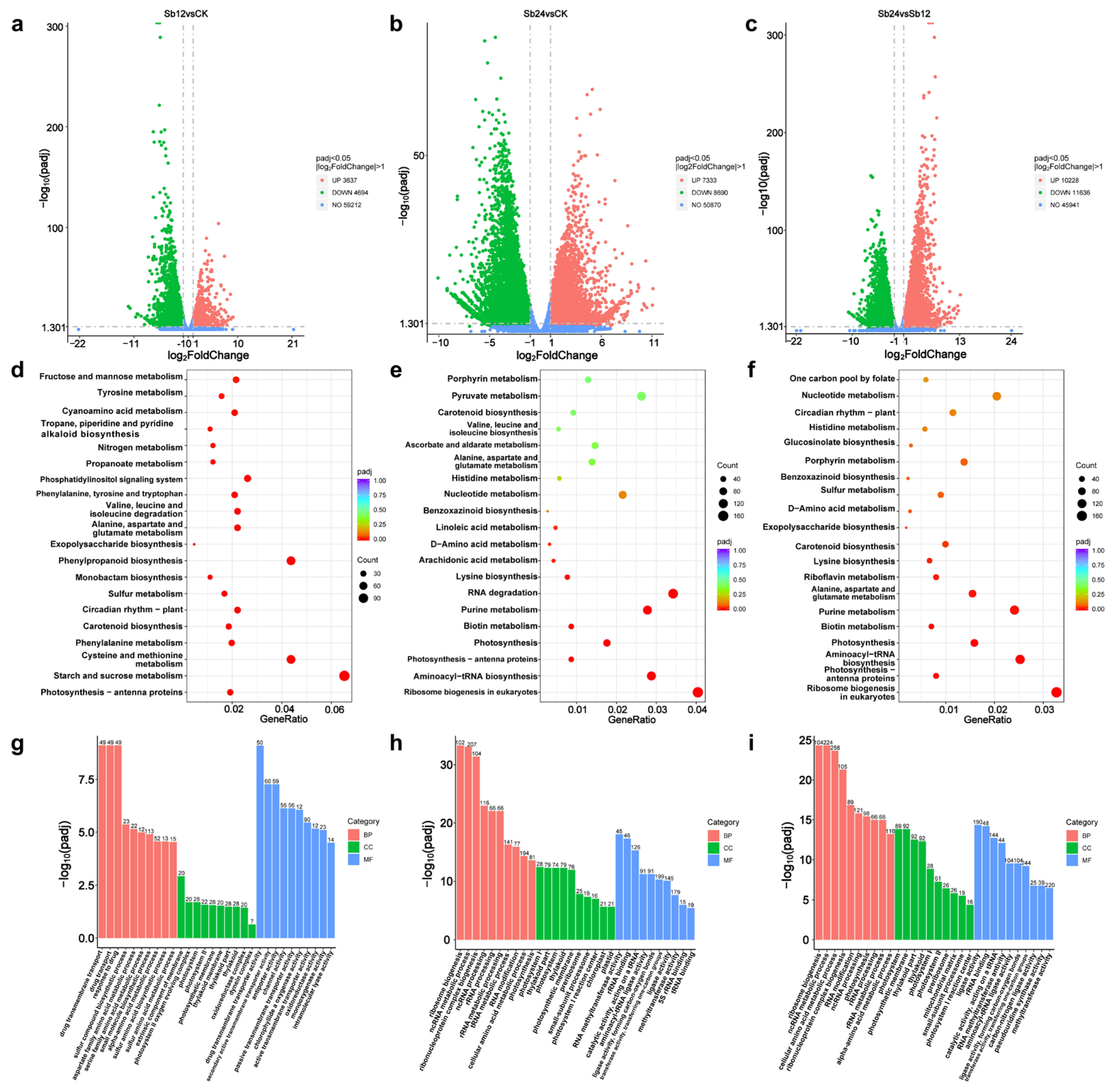 Agriculture 15 02221 g003