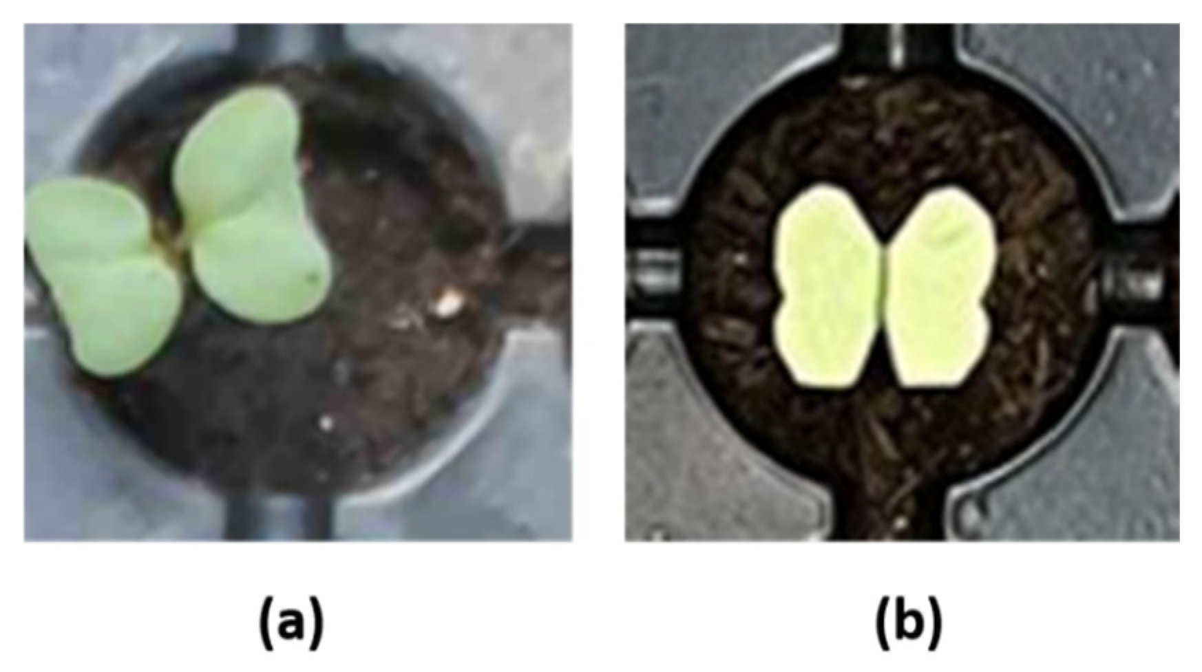 Agriculture 15 02227 g013