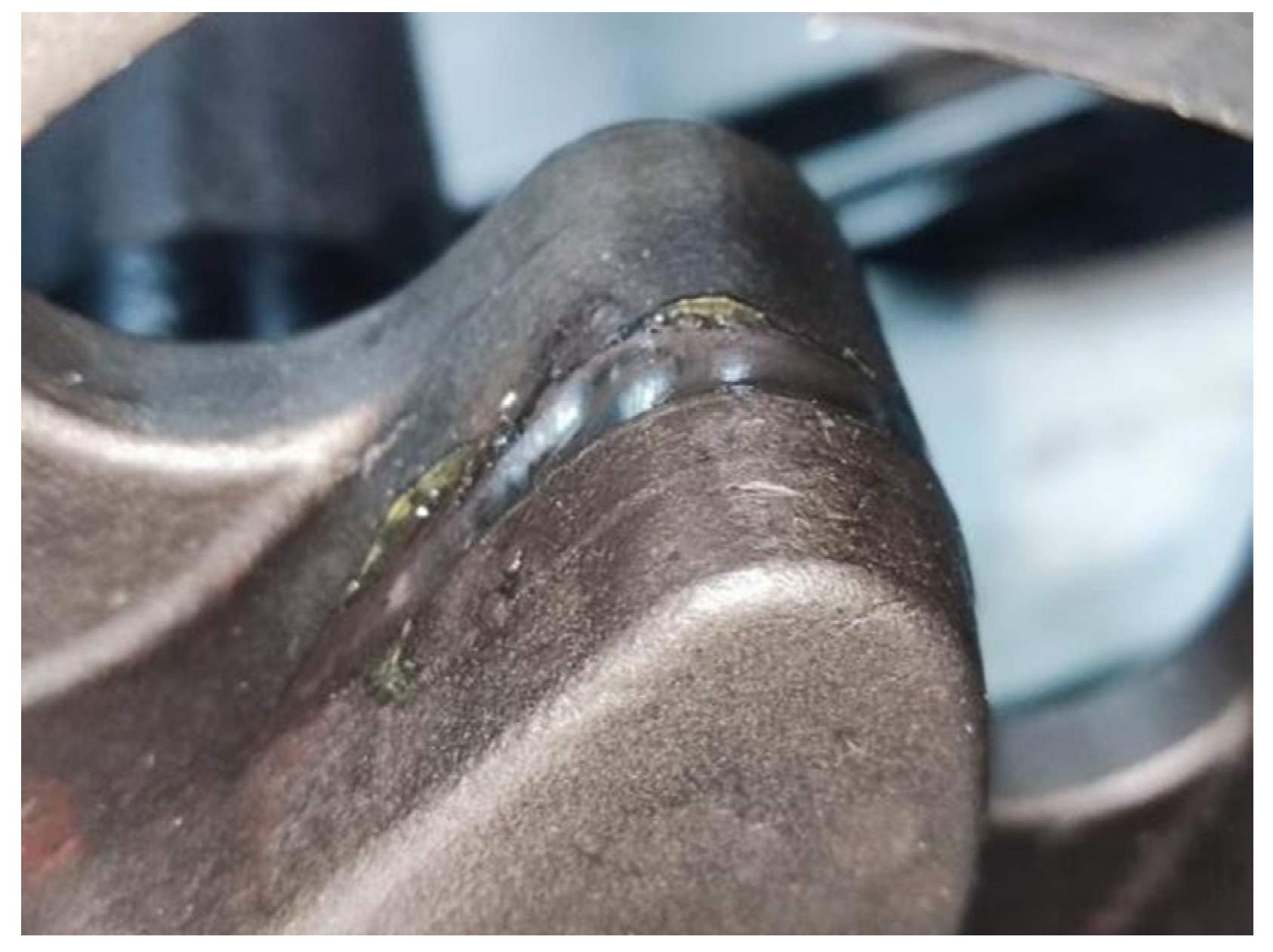 Agriculture 15 02229 g016