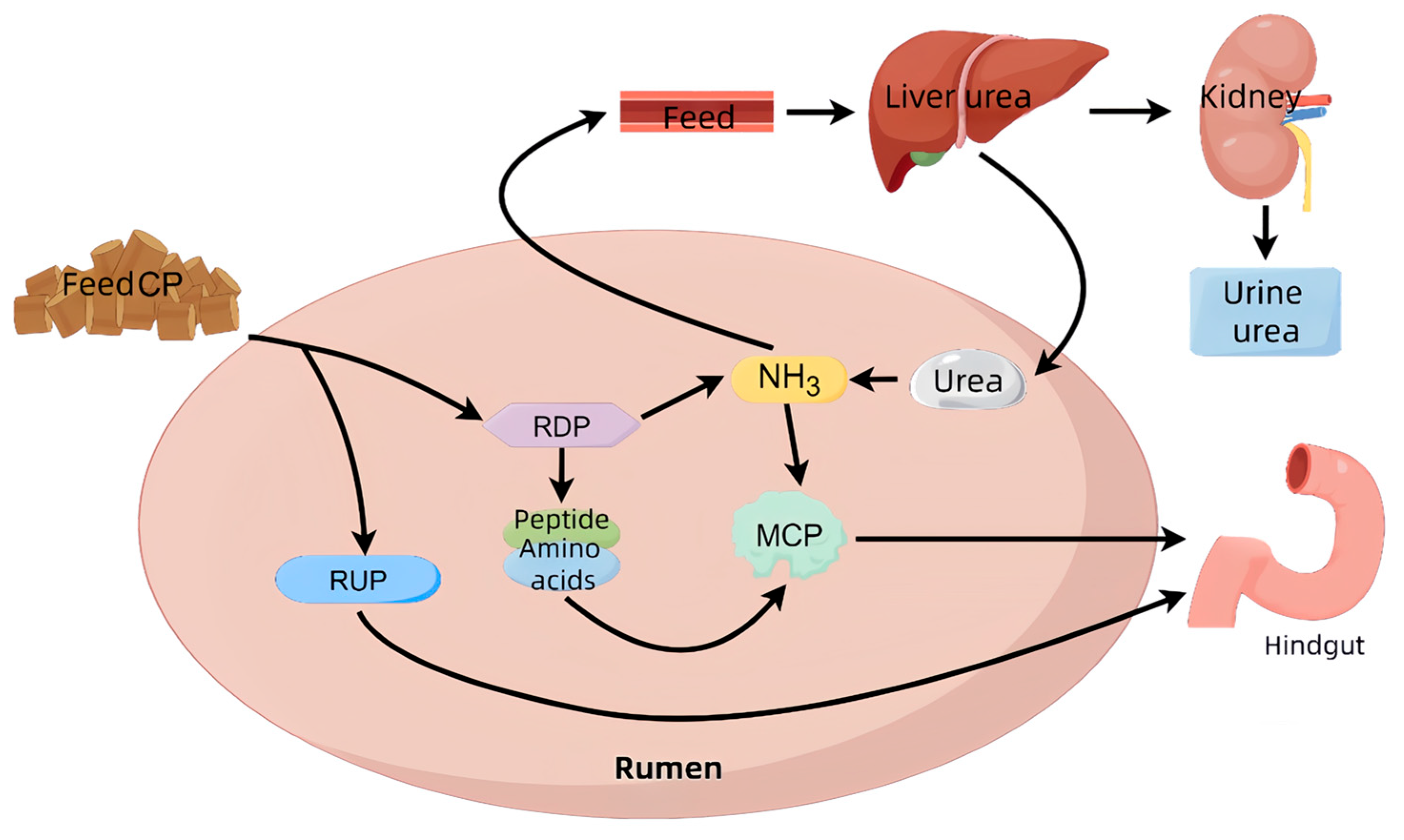 Agriculture 15 02234 g002