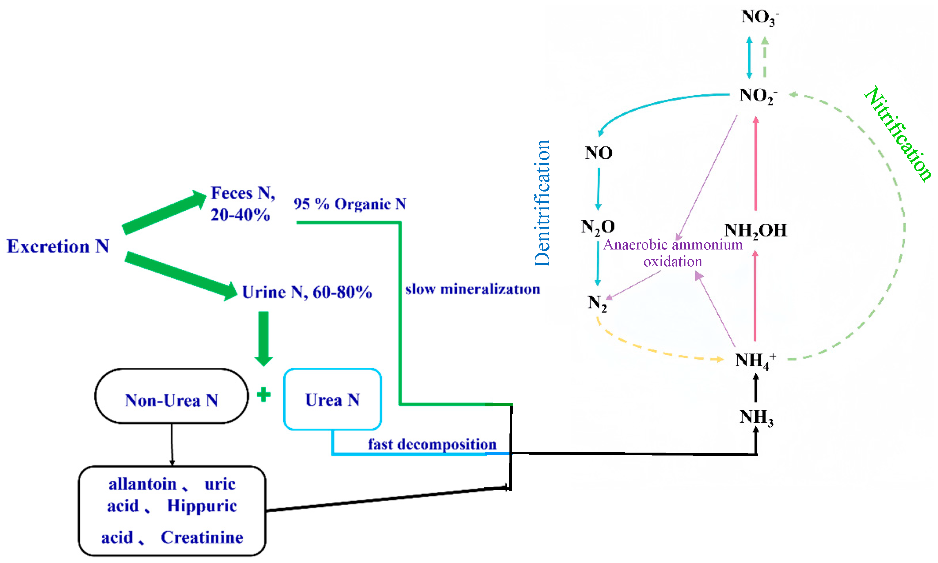 Agriculture 15 02234 g003