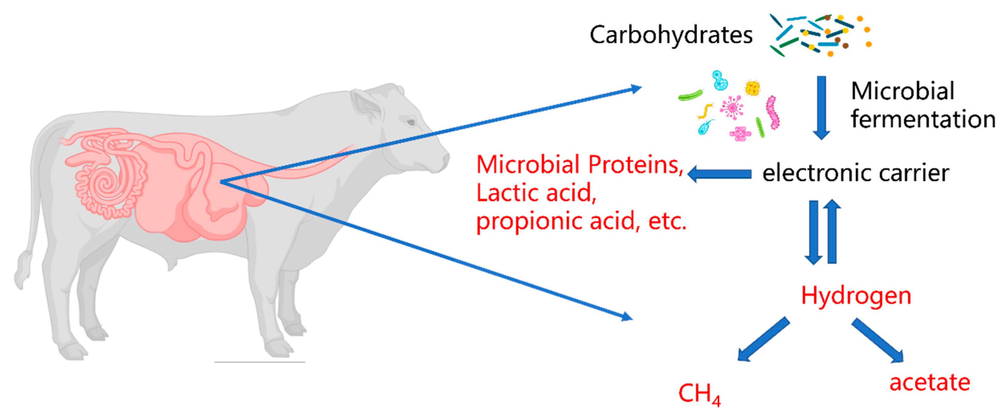 Agriculture 15 02234 g004