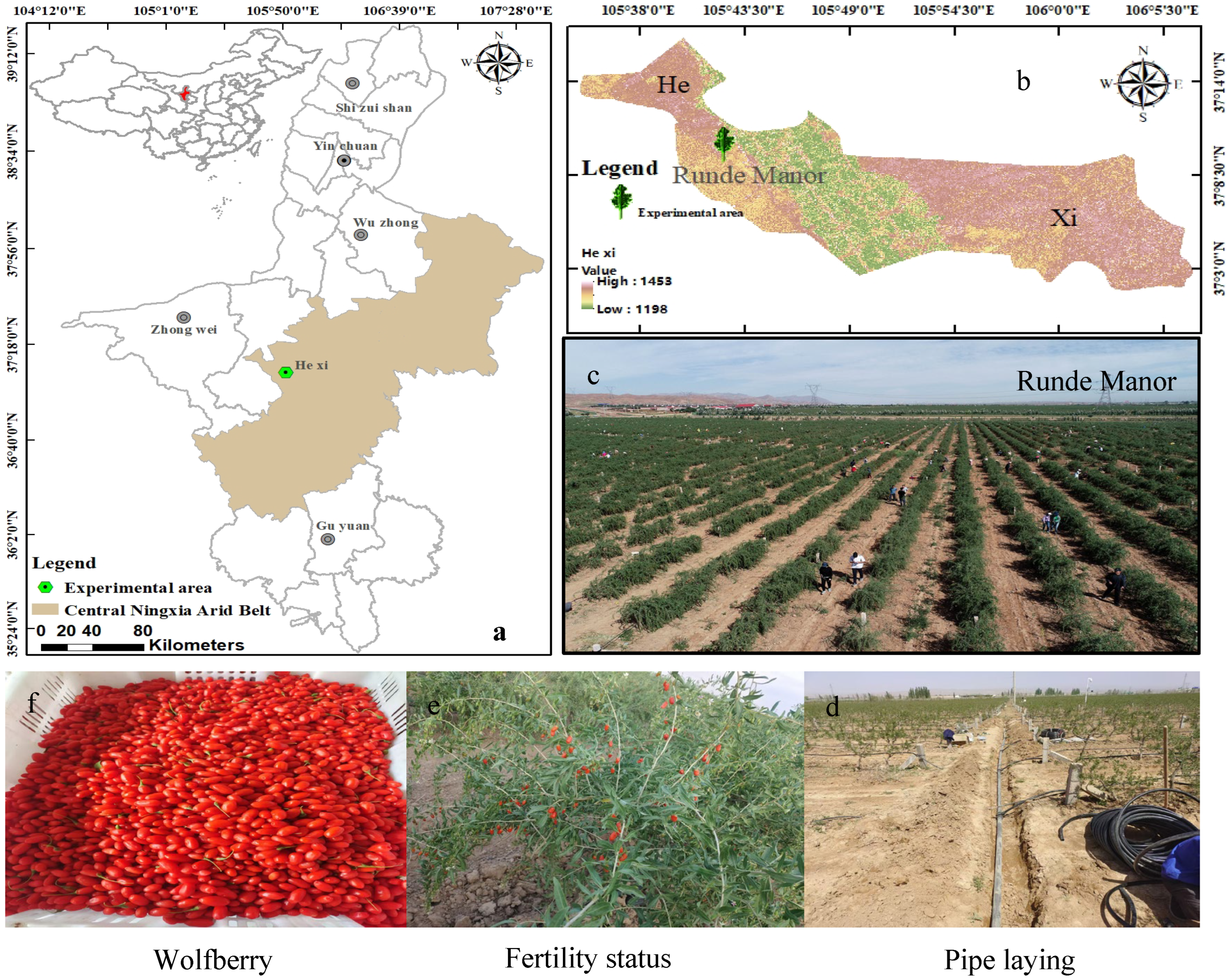Agriculture 15 02237 g001
