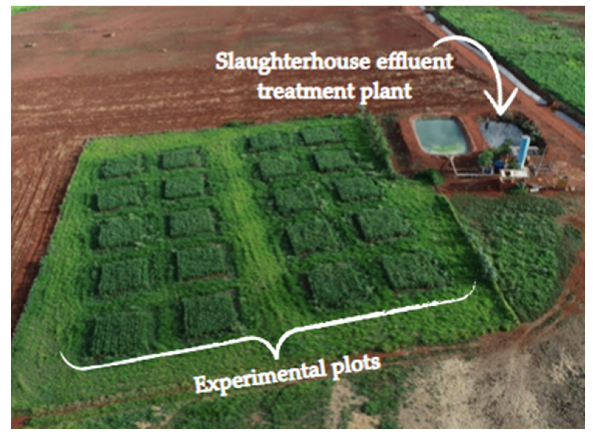 Agriculture 15 02245 g002