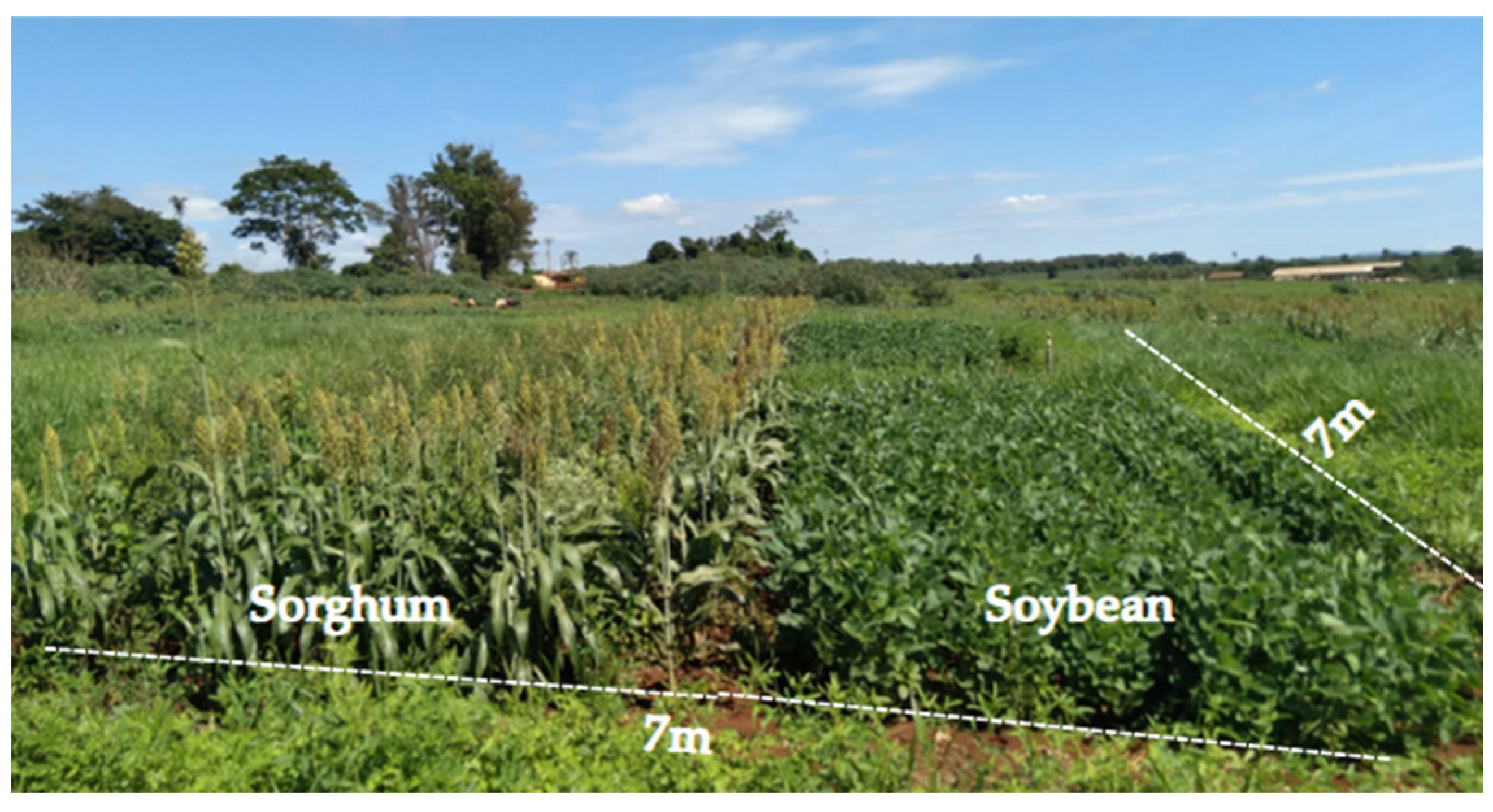 Agriculture 15 02245 g003