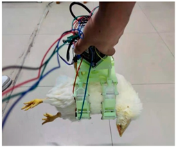 Agriculture 15 02249 i004