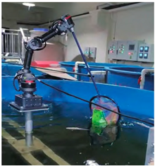 Agriculture 15 02249 i006