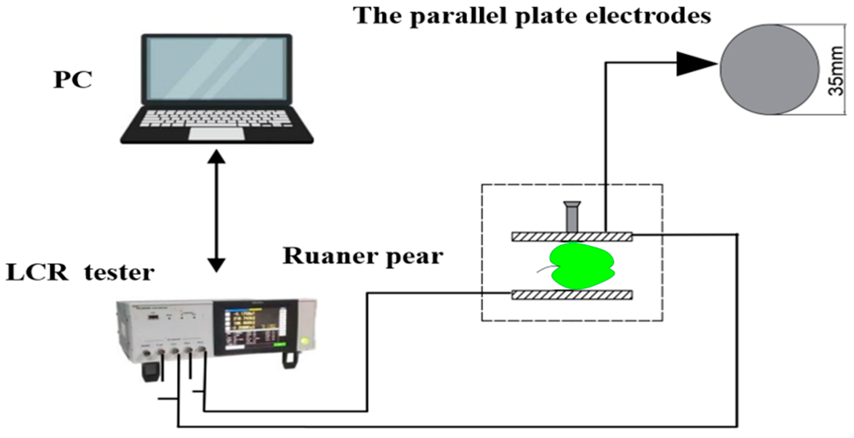 Agriculture 15 02254 g001