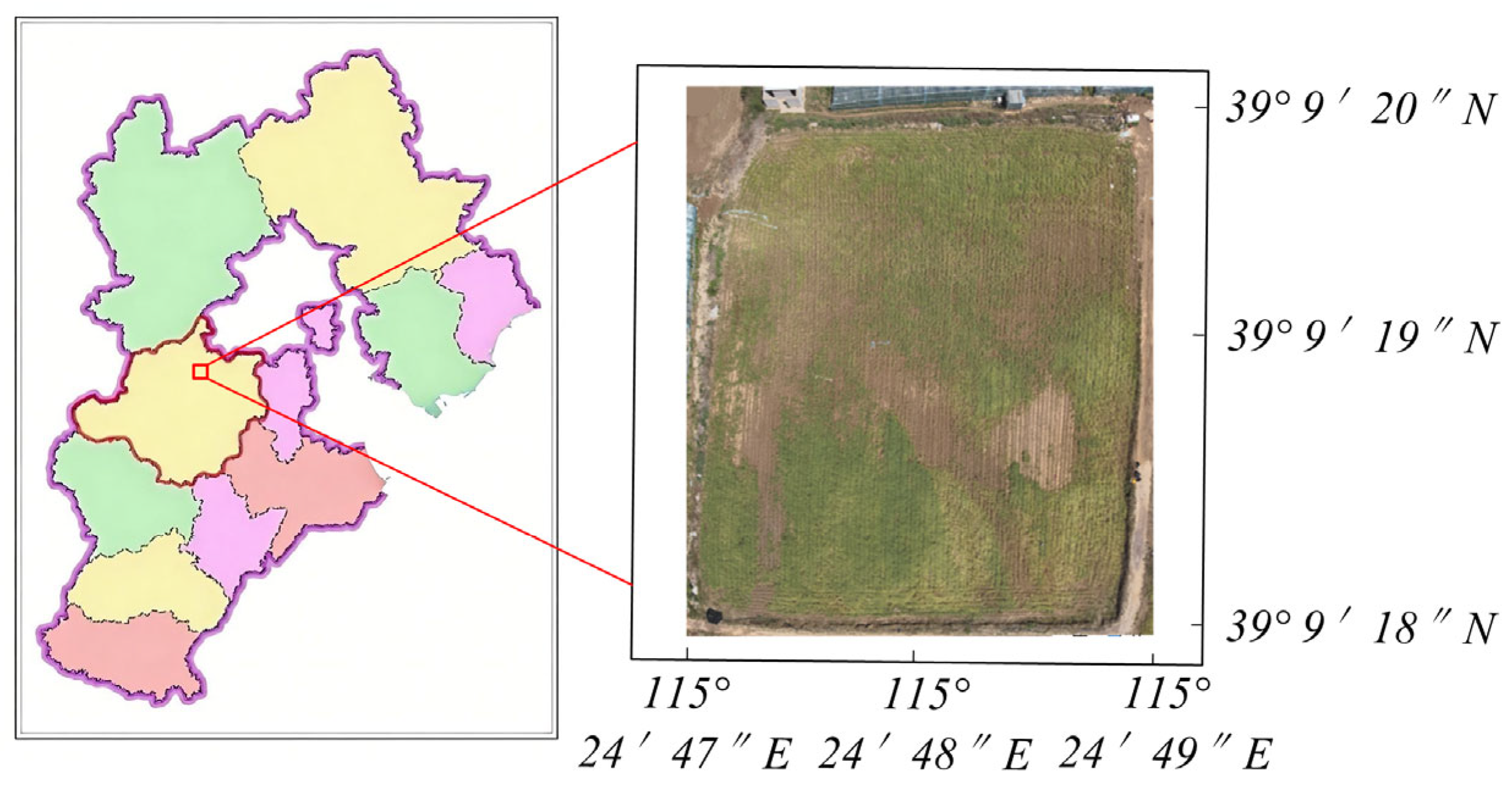 Agriculture 15 02265 g001