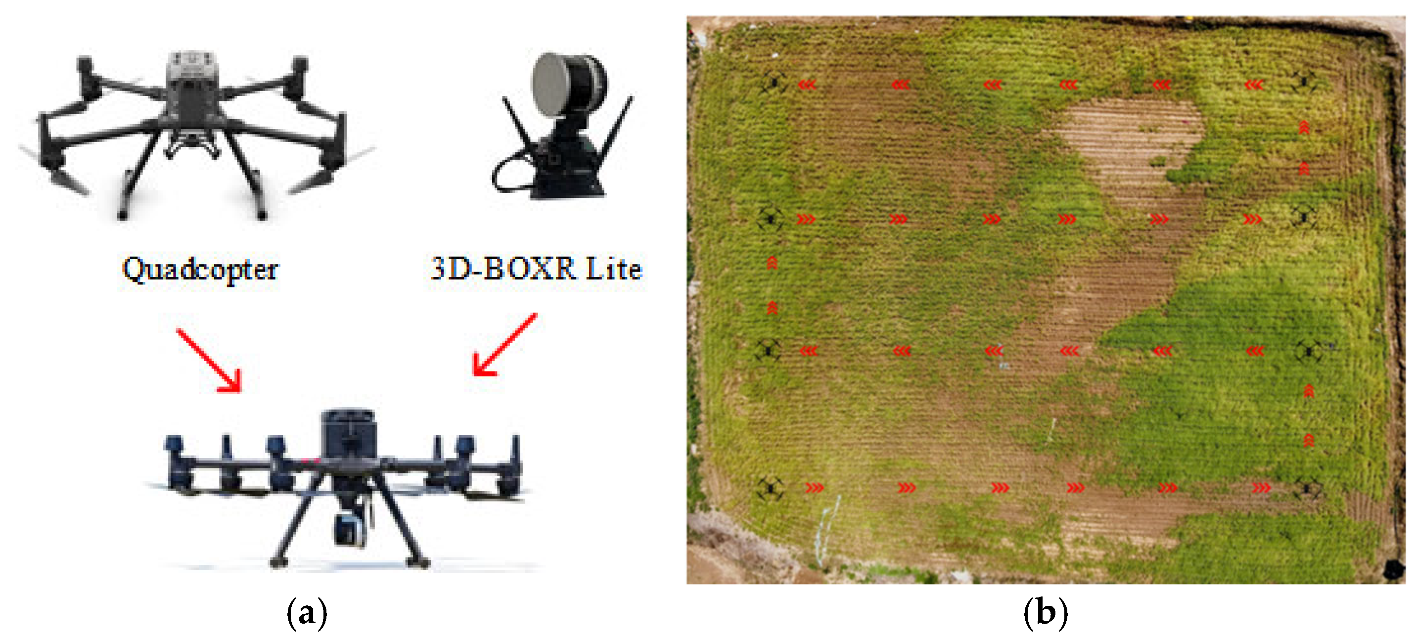Agriculture 15 02265 g002