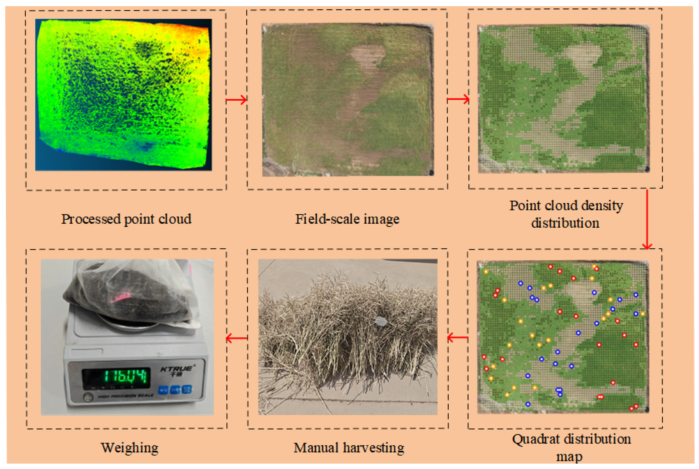 Agriculture 15 02265 g003