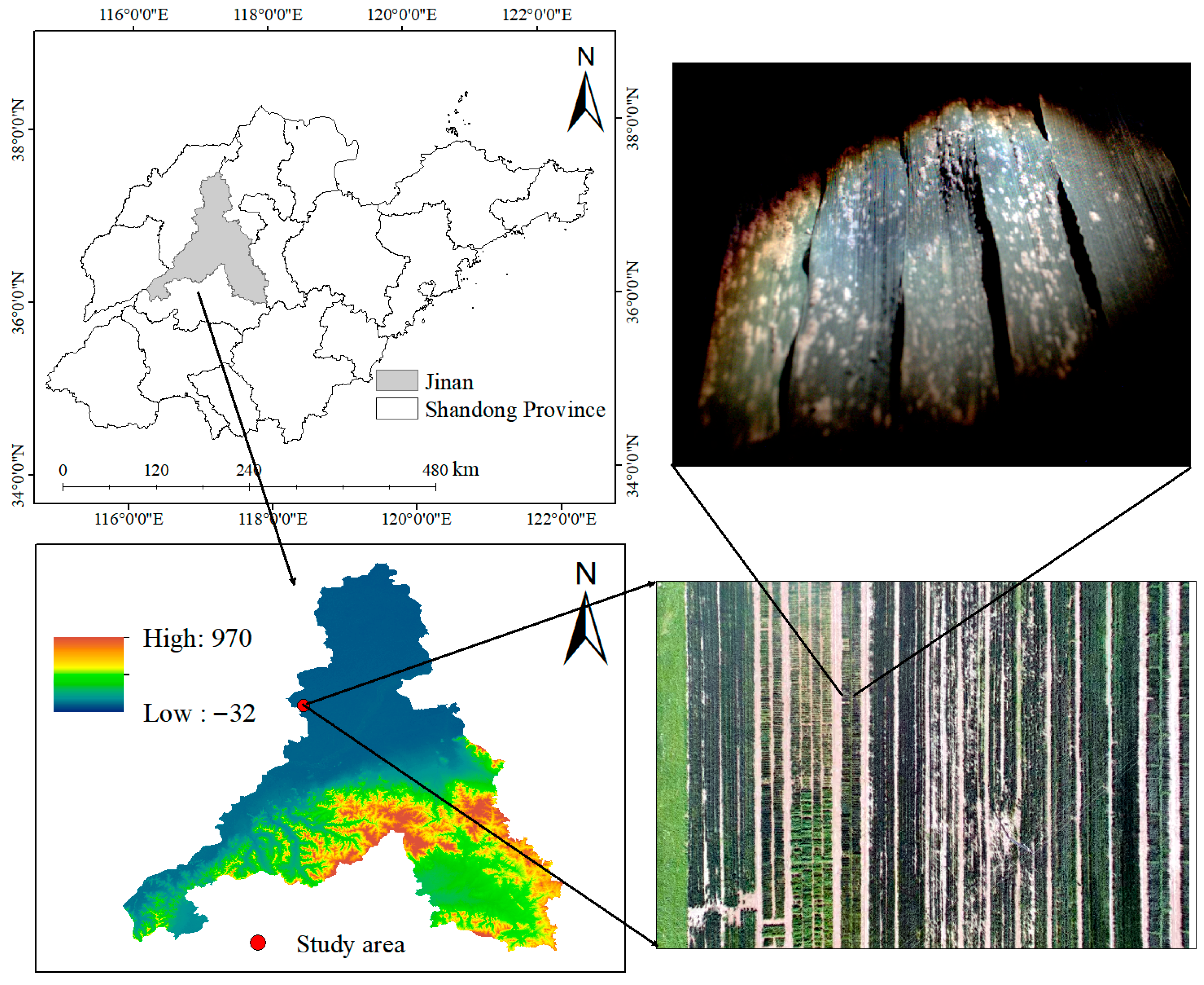 Agriculture 15 02268 g001 Agriculture 15 02268 g001