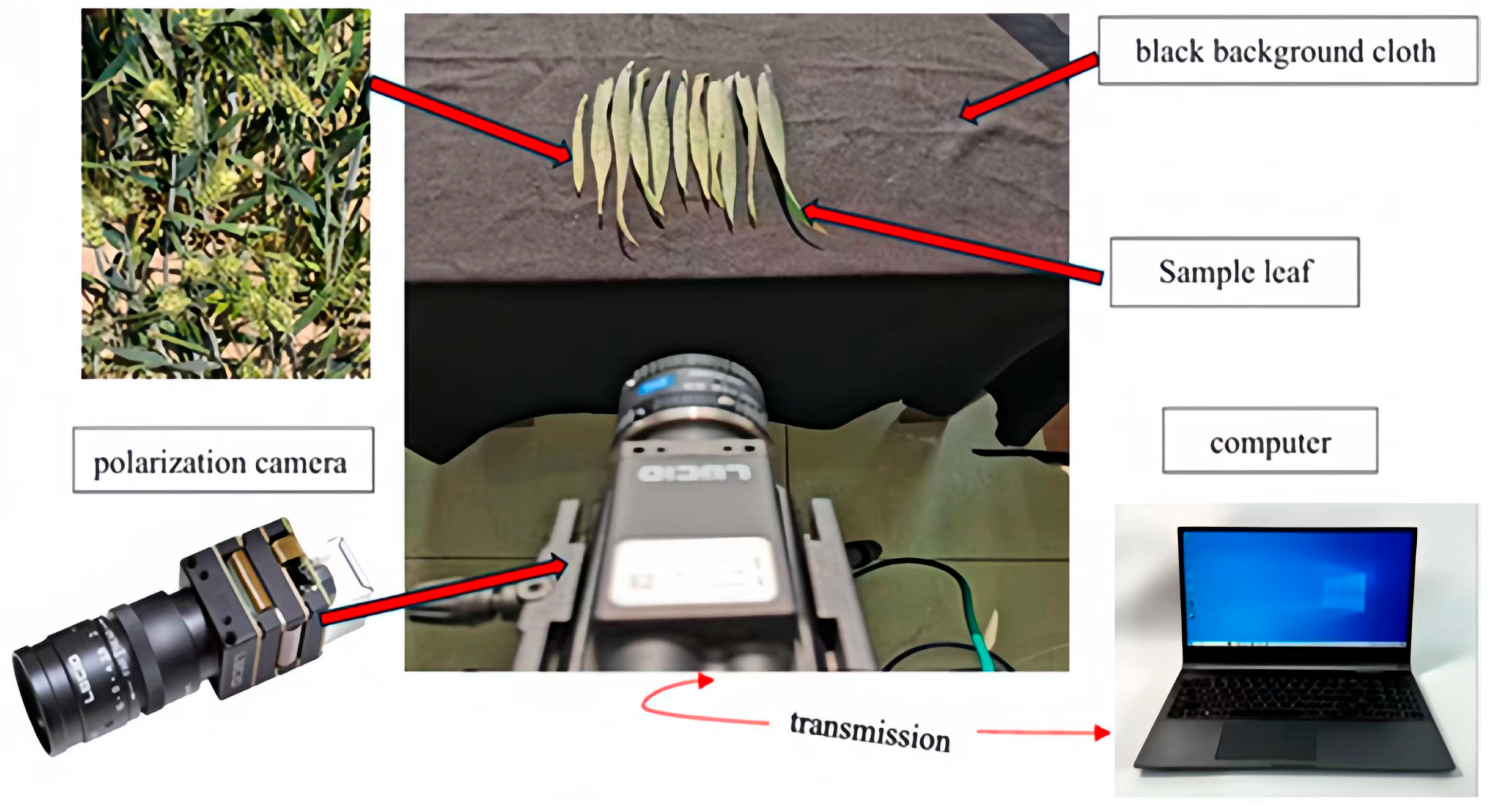 Agriculture 15 02268 g002 Agriculture 15 02268 g002