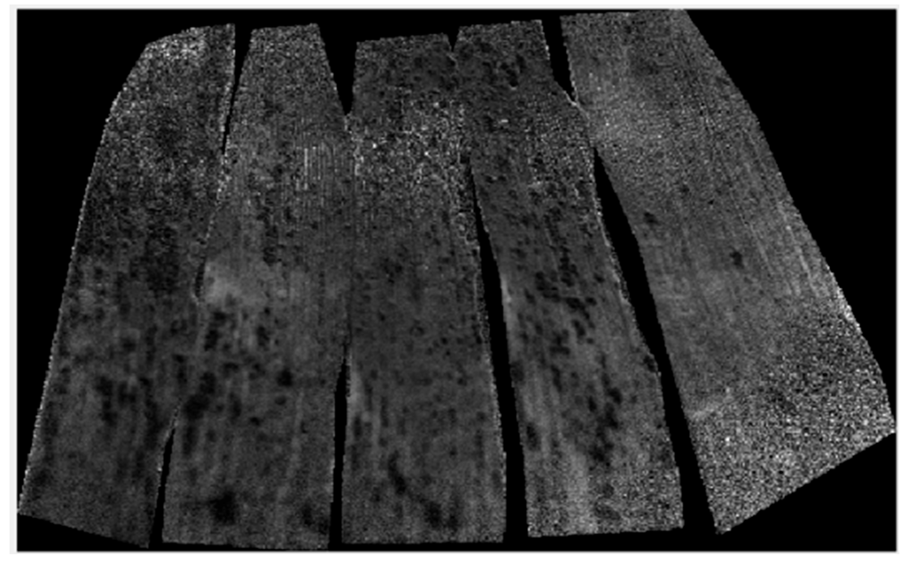 Agriculture 15 02268 g005 Agriculture 15 02268 g005