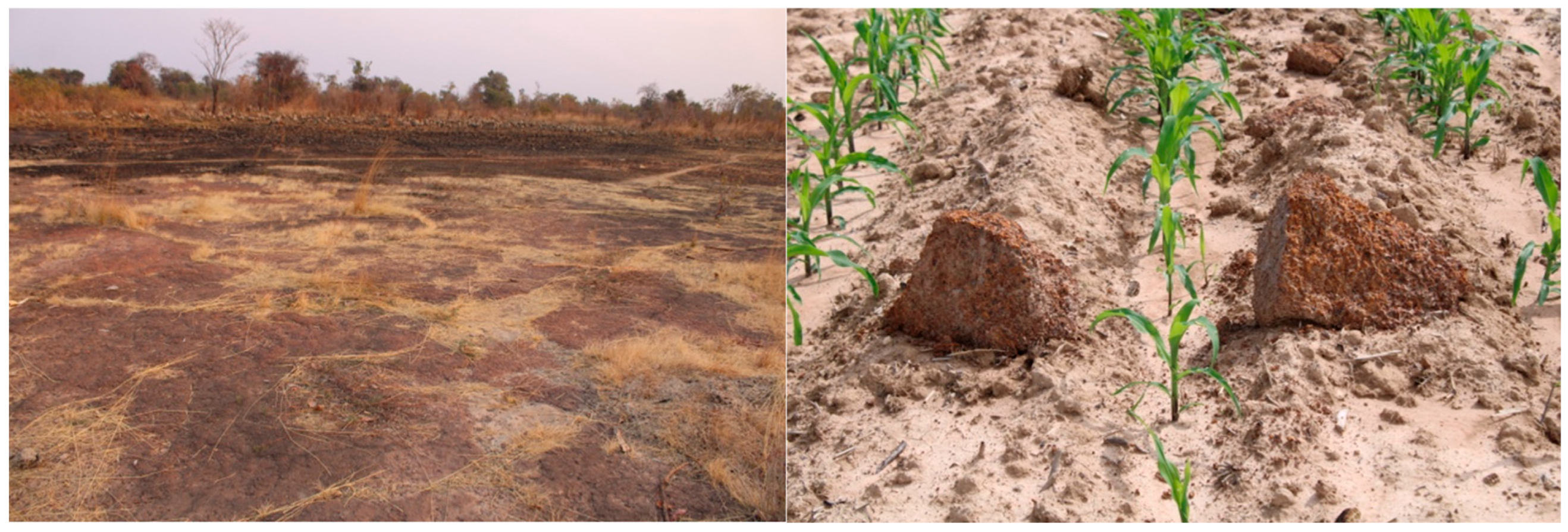 Agriculture 15 02272 g001