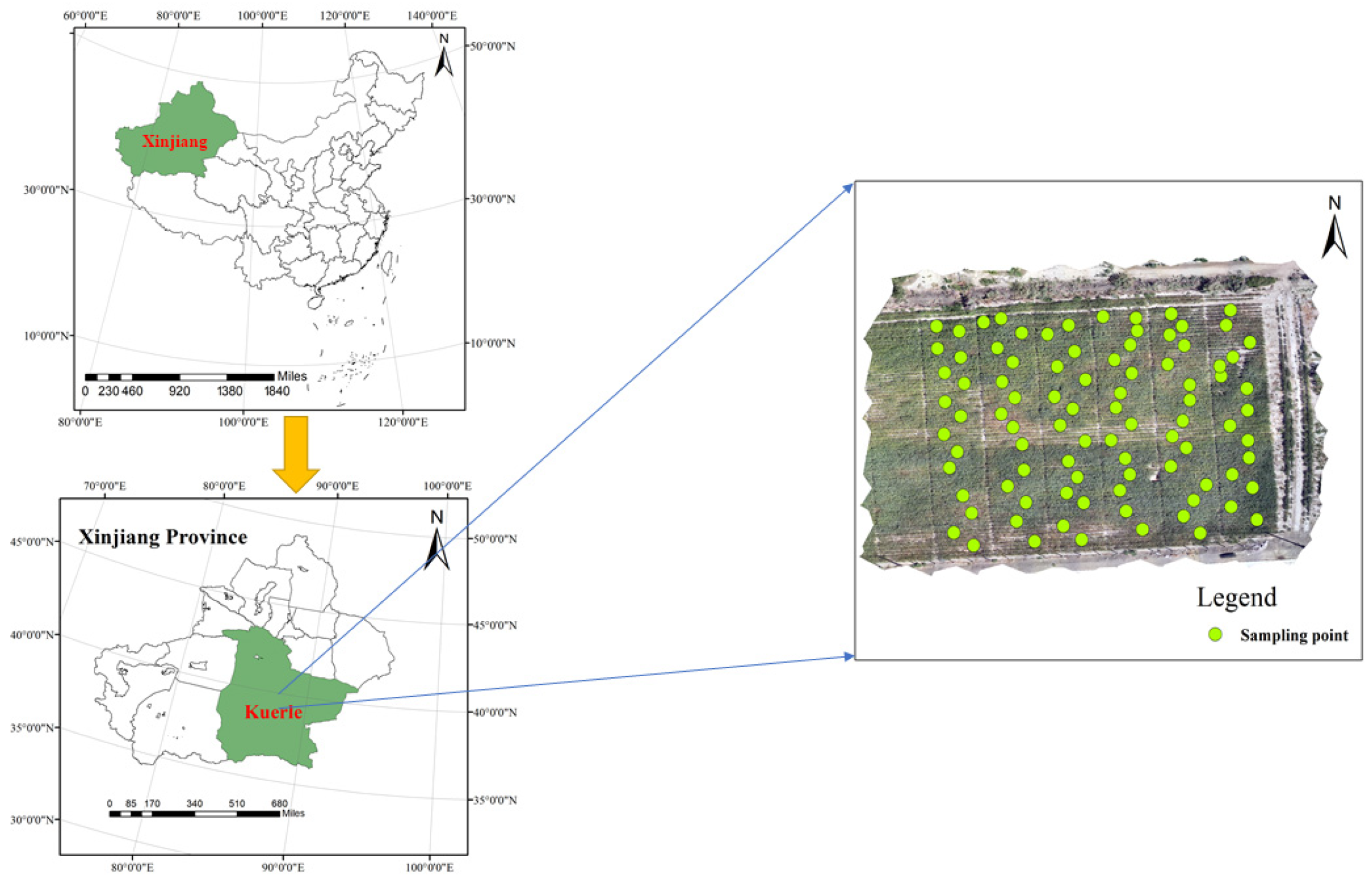 Agriculture 15 02277 g001