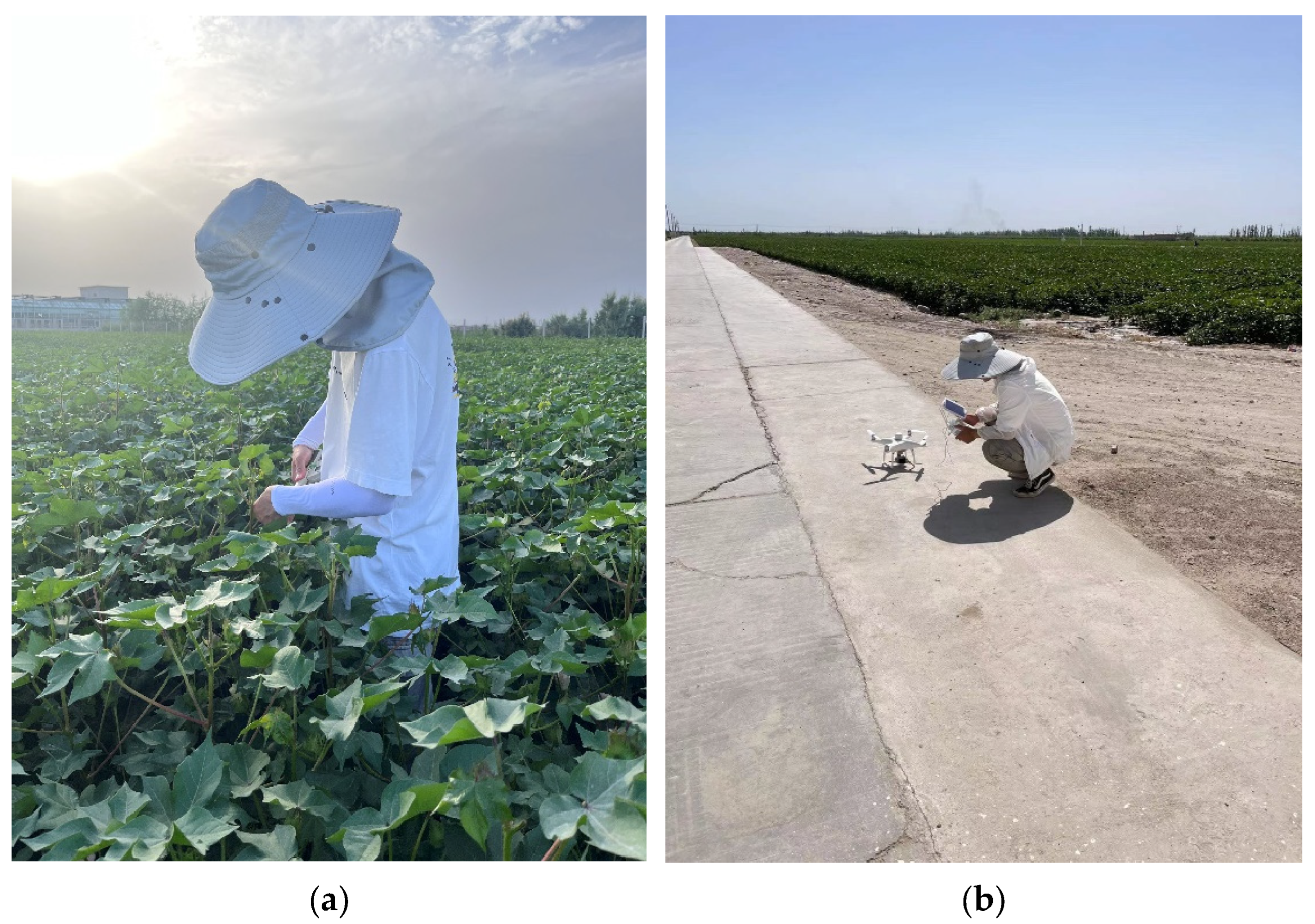 Agriculture 15 02277 g003