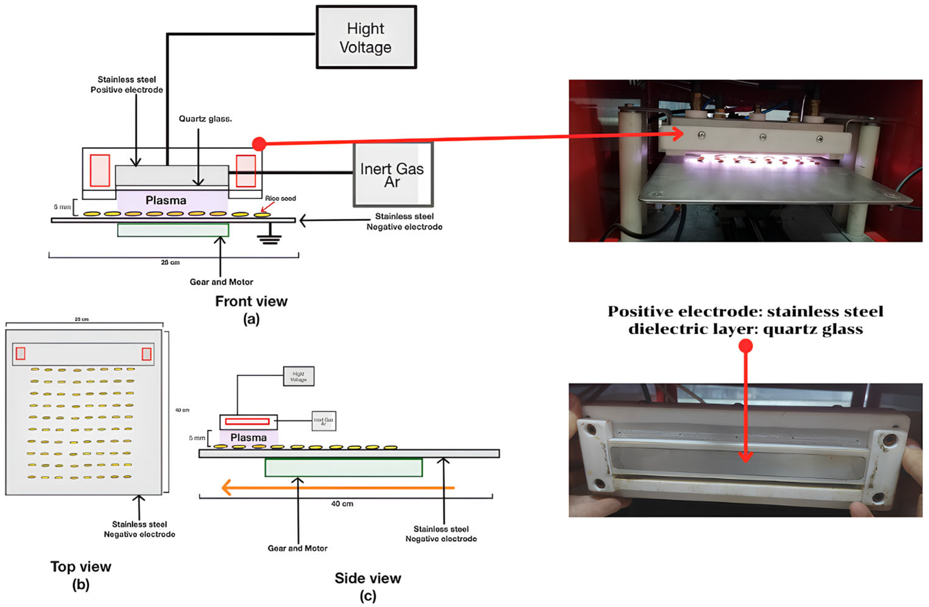 Agriculture 15 02280 g001 Agriculture 15 02280 g001
