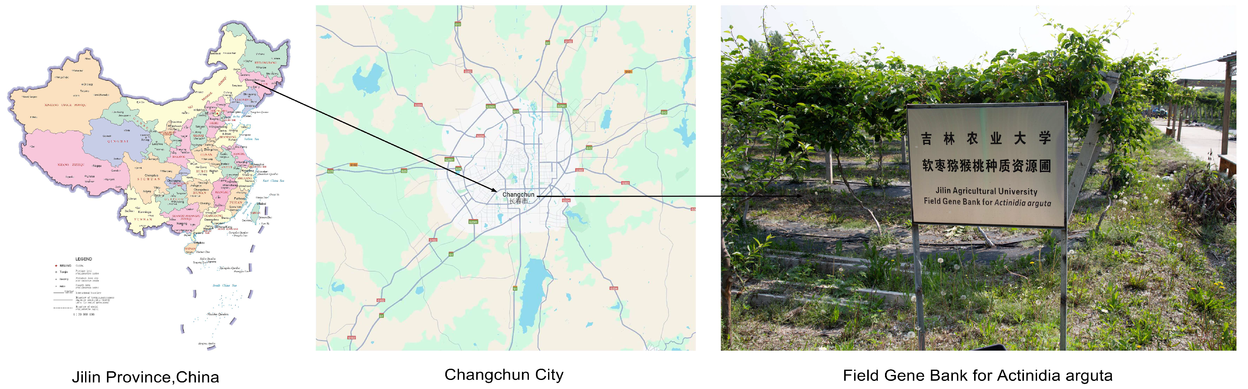 Agriculture 15 02290 g001