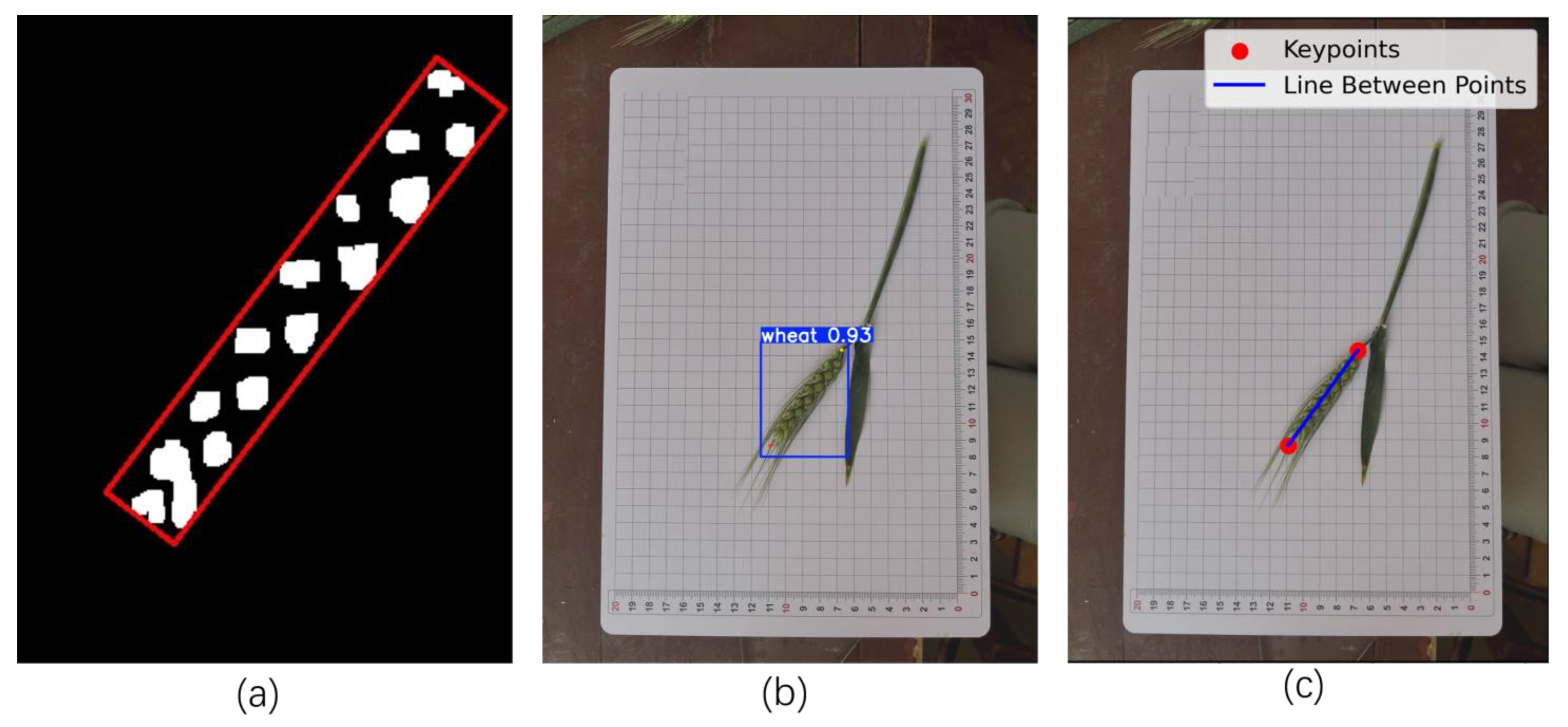 Agriculture 15 02295 g015