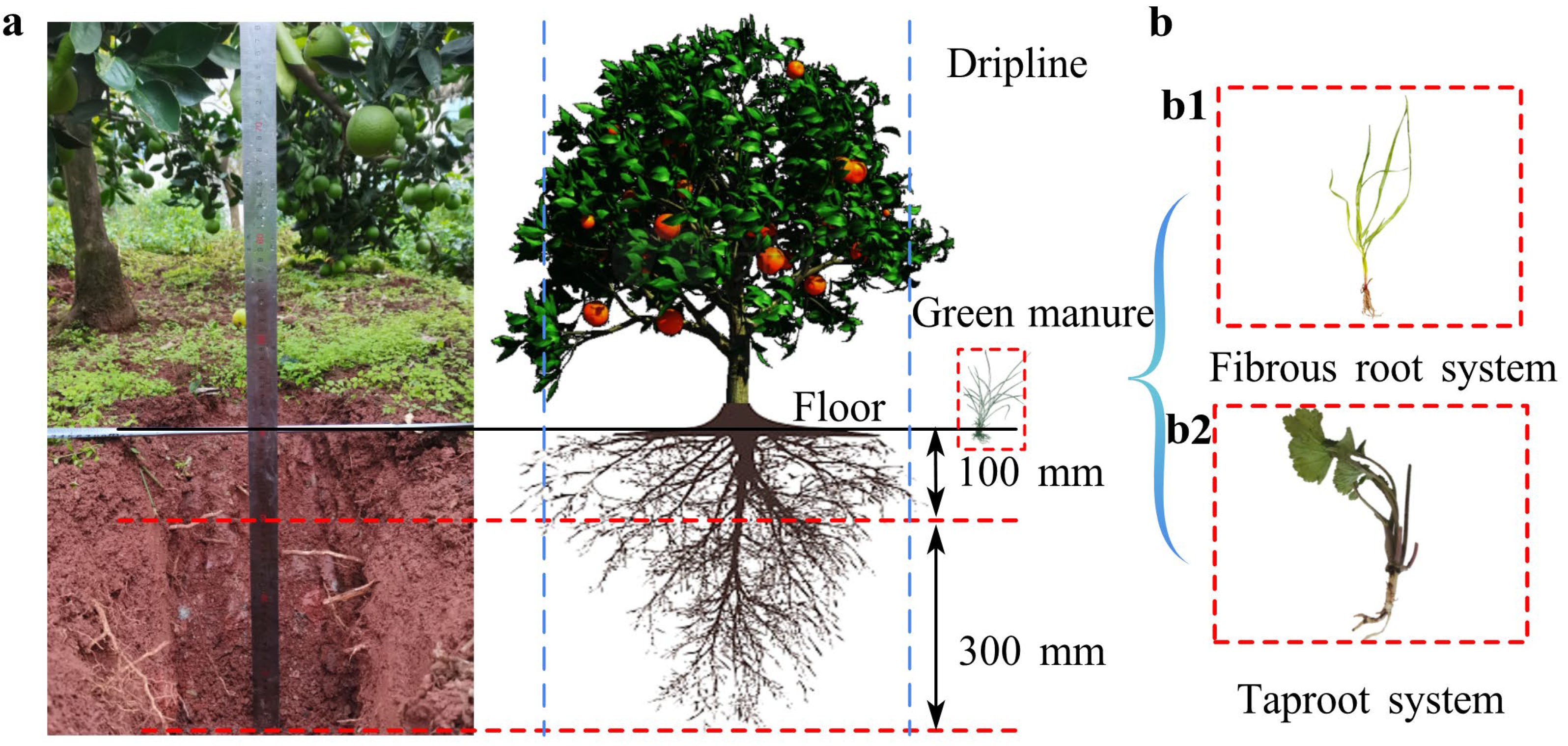Agriculture 15 02299 g001