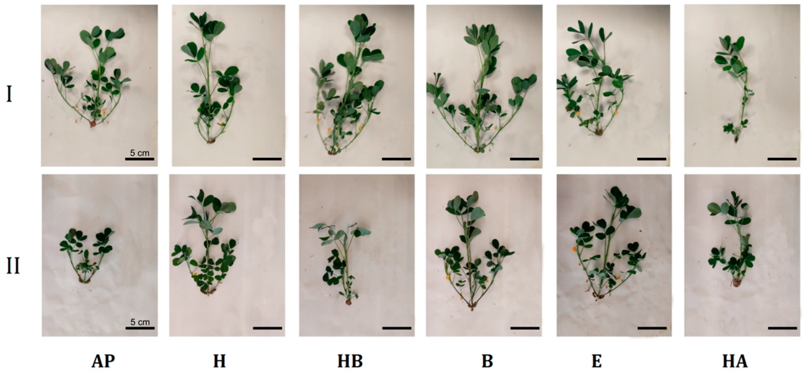 Agriculture 15 02300 g001