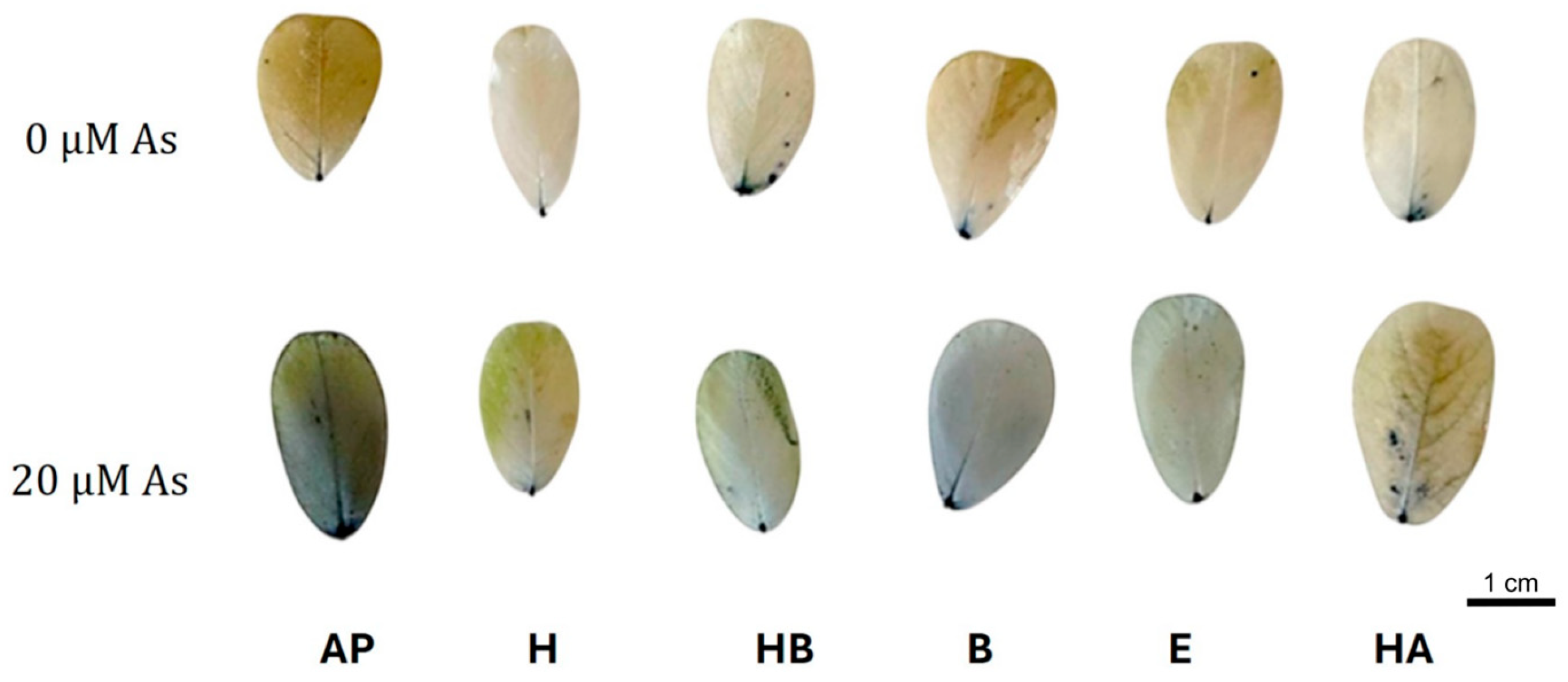 Agriculture 15 02300 g003