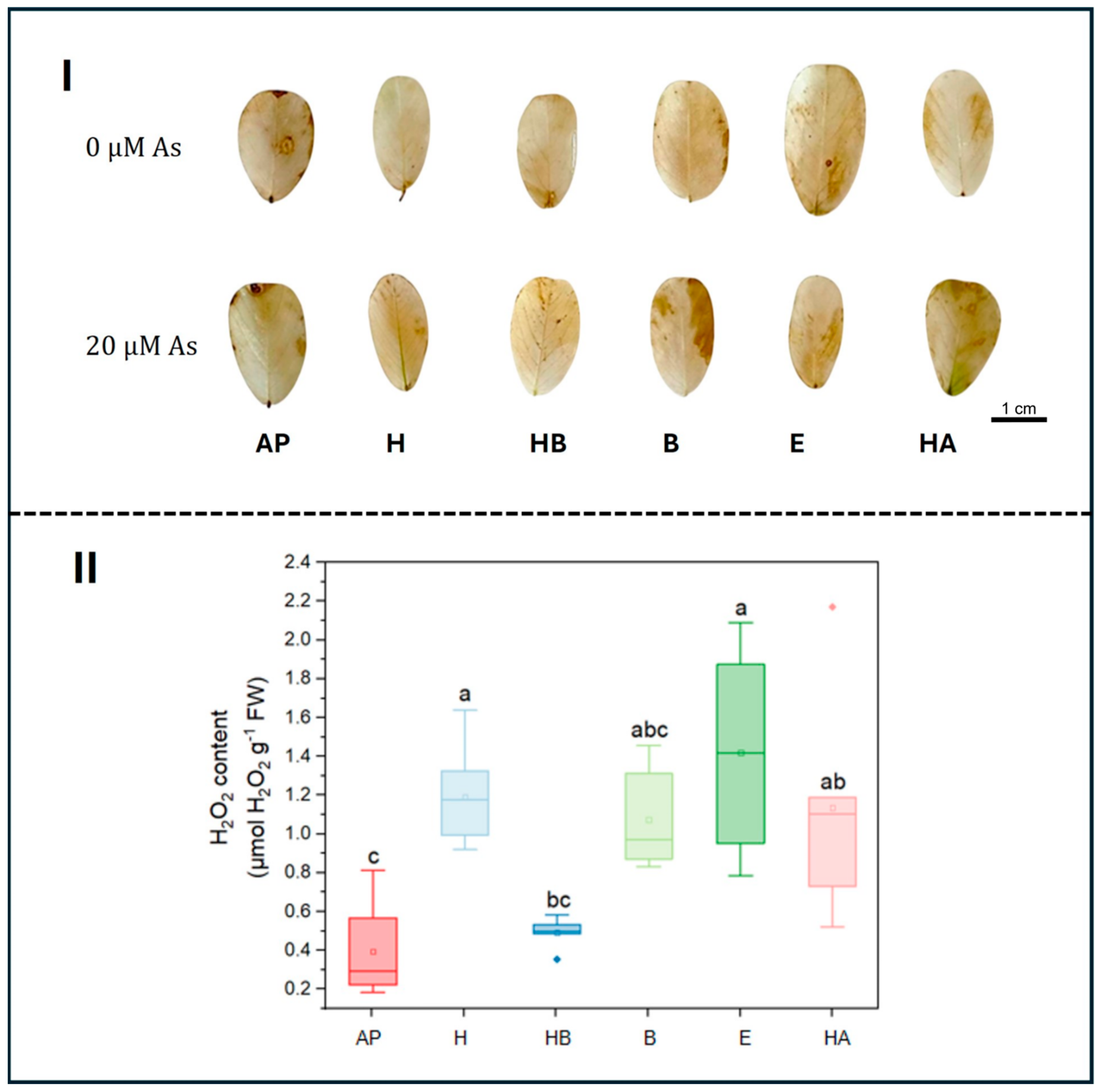 Agriculture 15 02300 g004