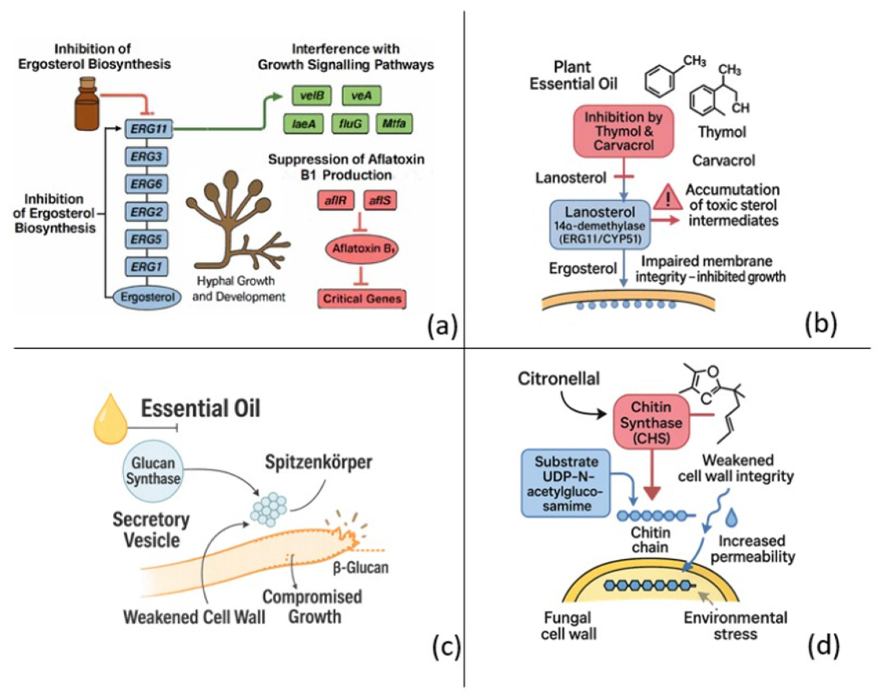 Agriculture 15 02303 g001