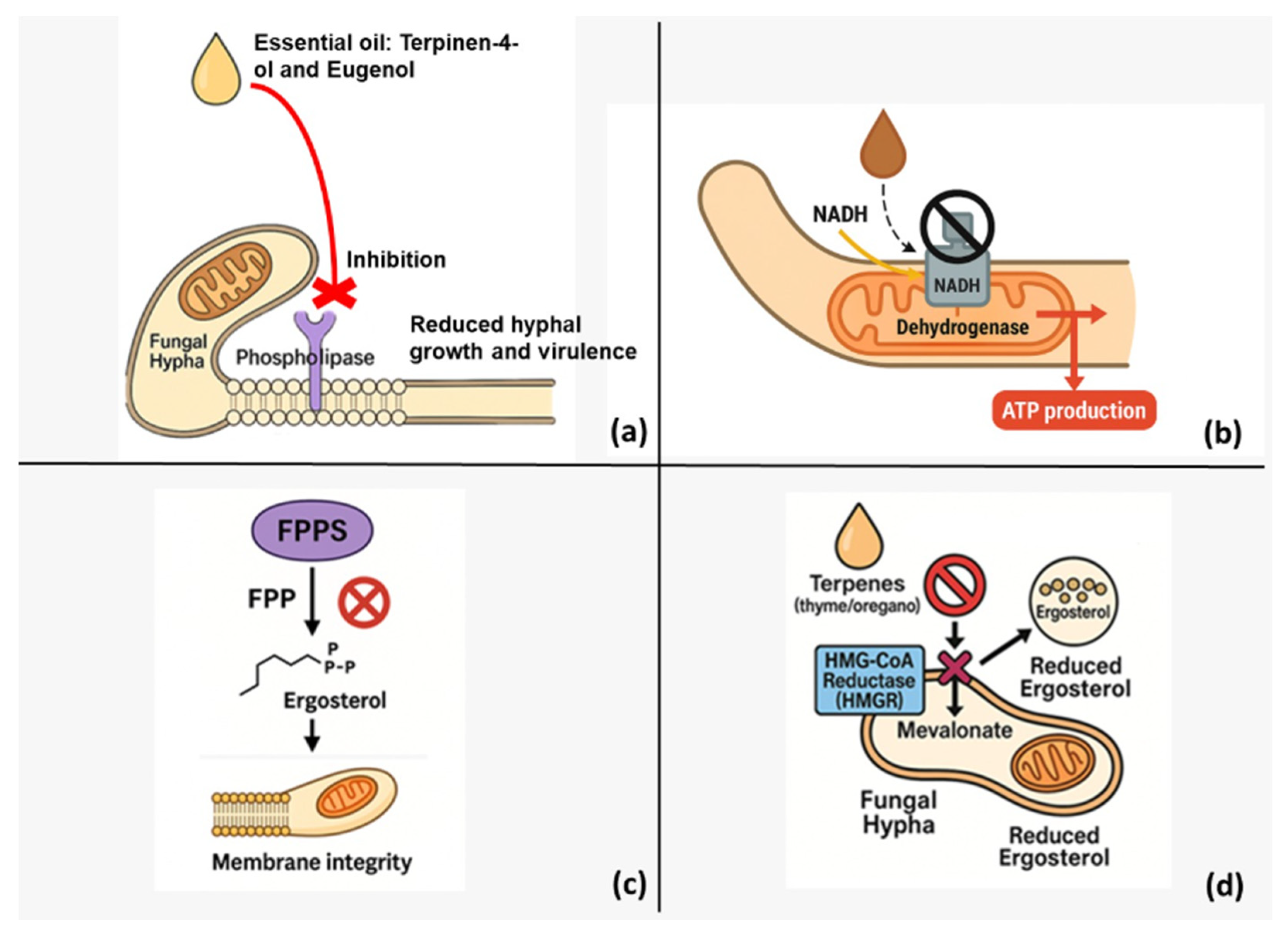 Agriculture 15 02303 g002