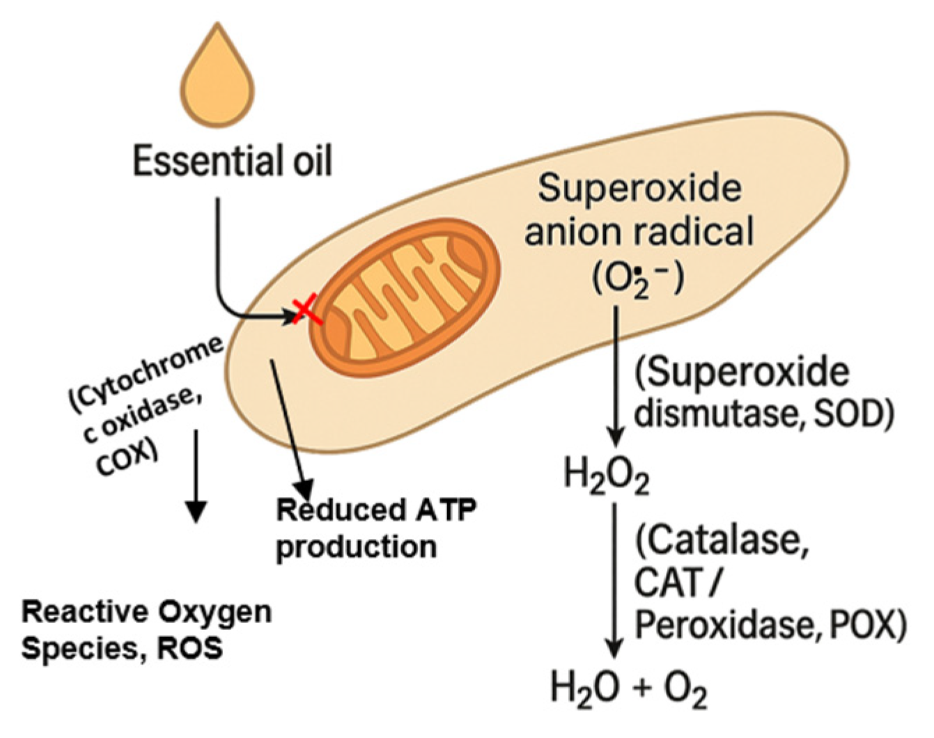 Agriculture 15 02303 g003