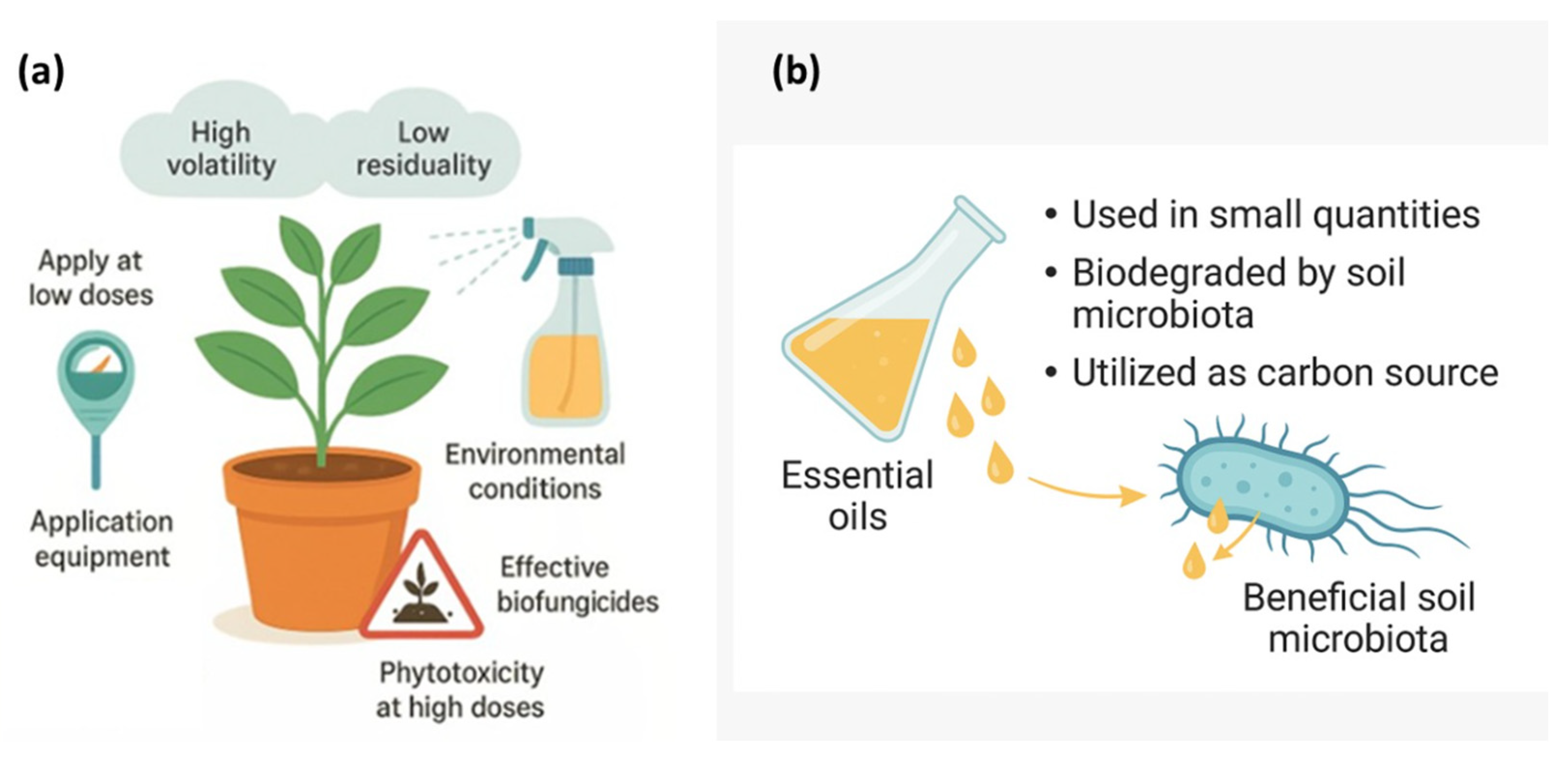 Agriculture 15 02303 g004