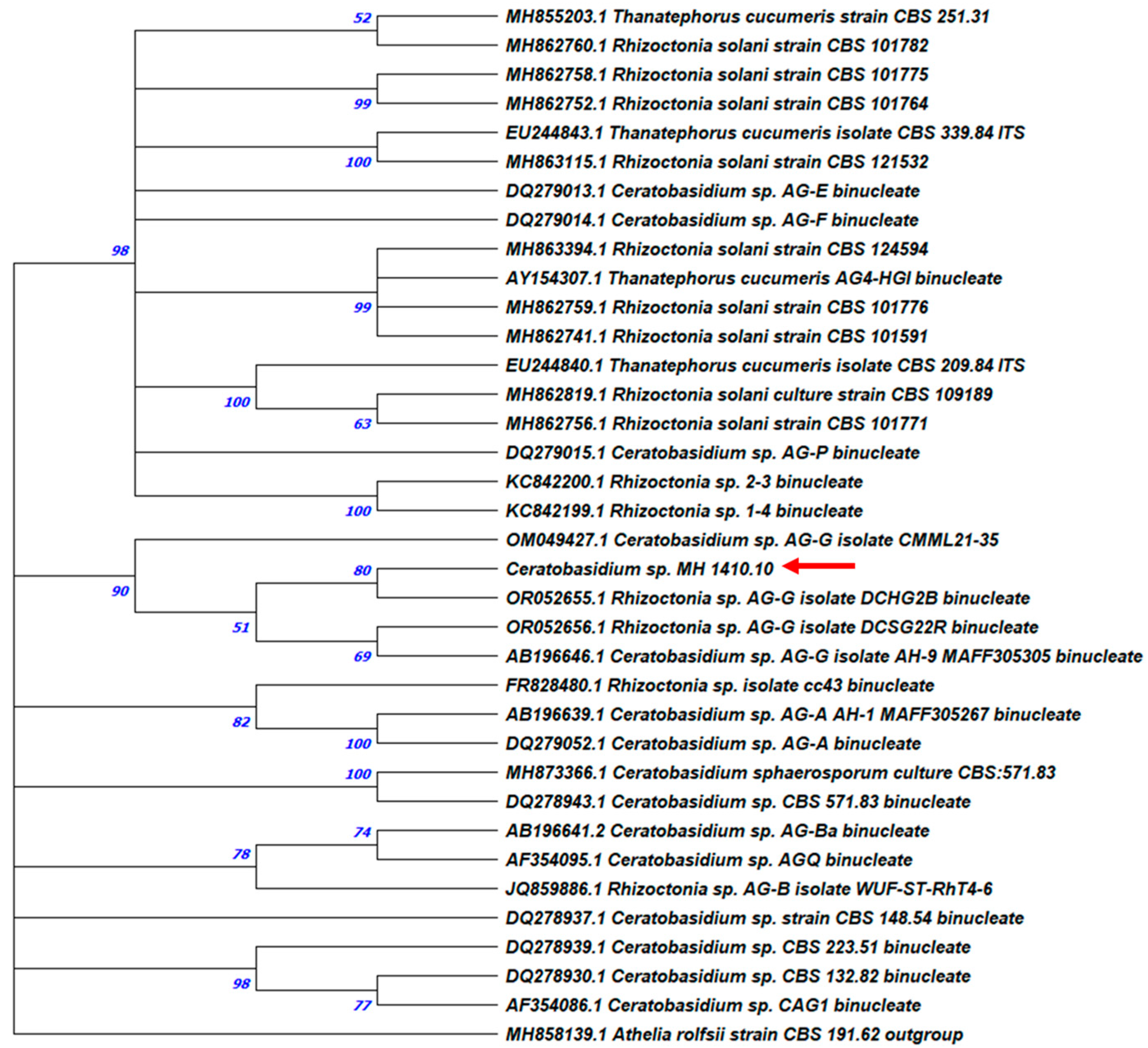 Agriculture 15 02309 g004 Agriculture 15 02309 g004