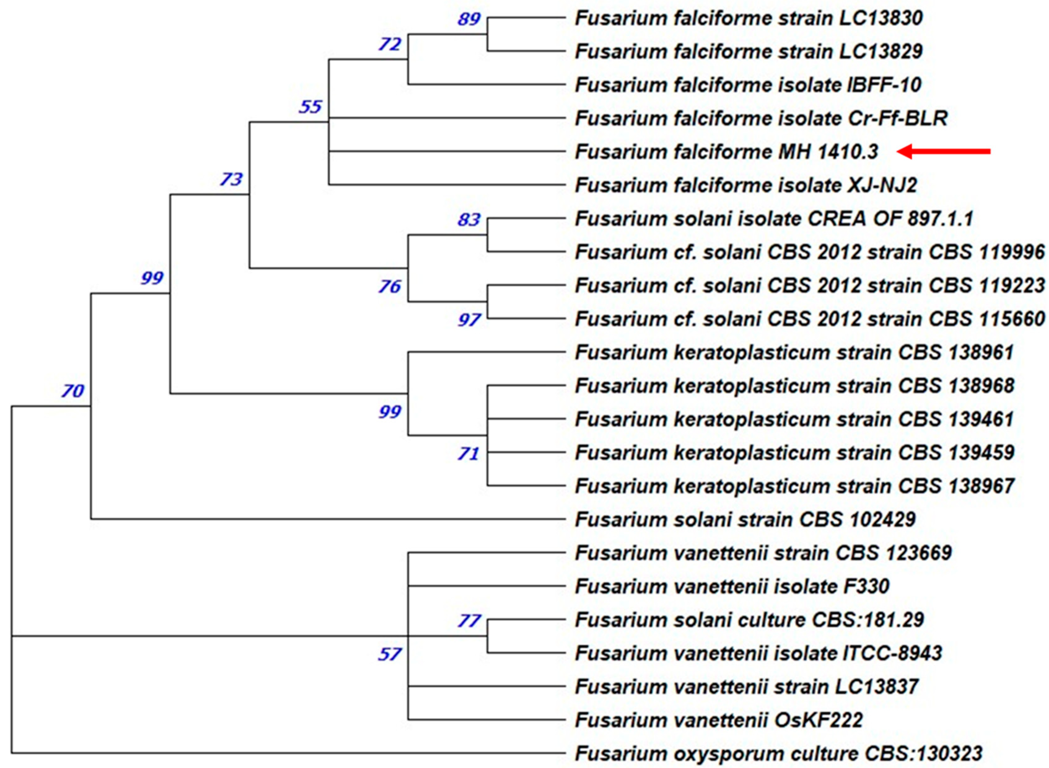 Agriculture 15 02309 g006 Agriculture 15 02309 g006