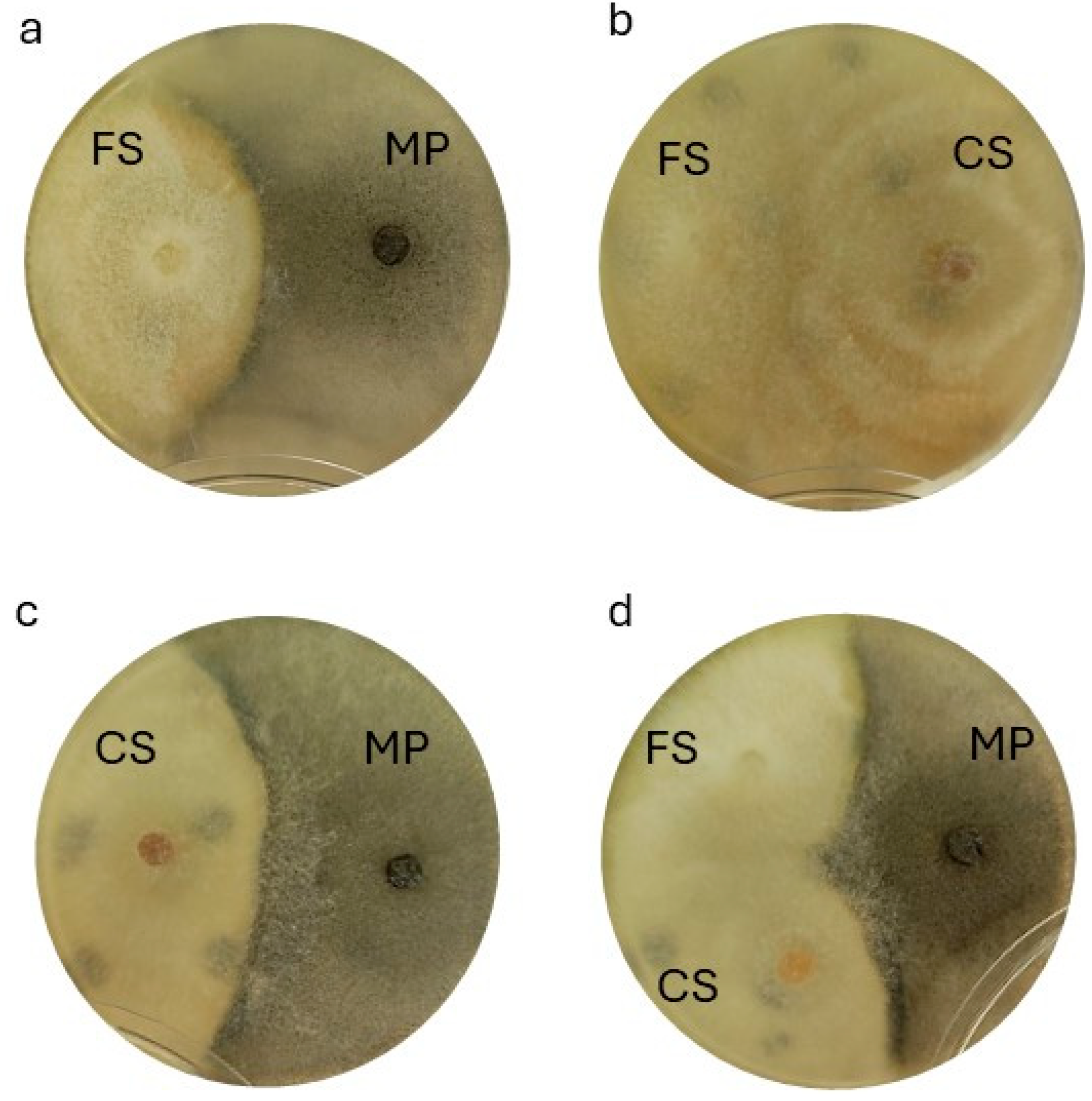 Agriculture 15 02309 g008 Agriculture 15 02309 g008