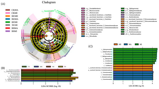 Agriculture 15 02342 g0a1