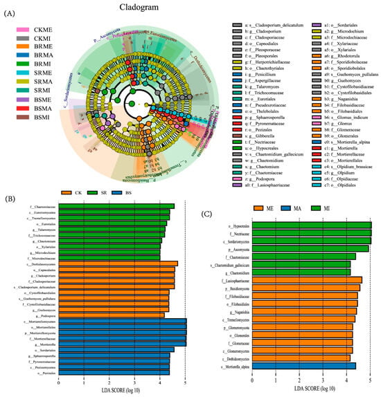 Agriculture 15 02342 g0a2