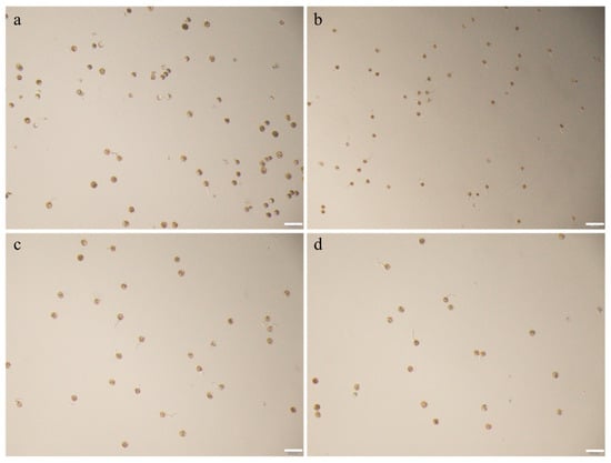 Agriculture 15 02420 g0a1