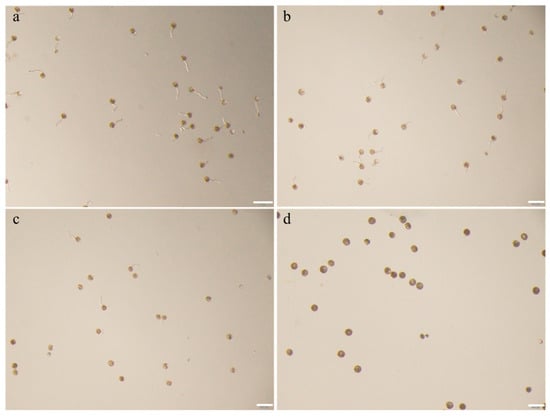 Agriculture 15 02420 g0a2